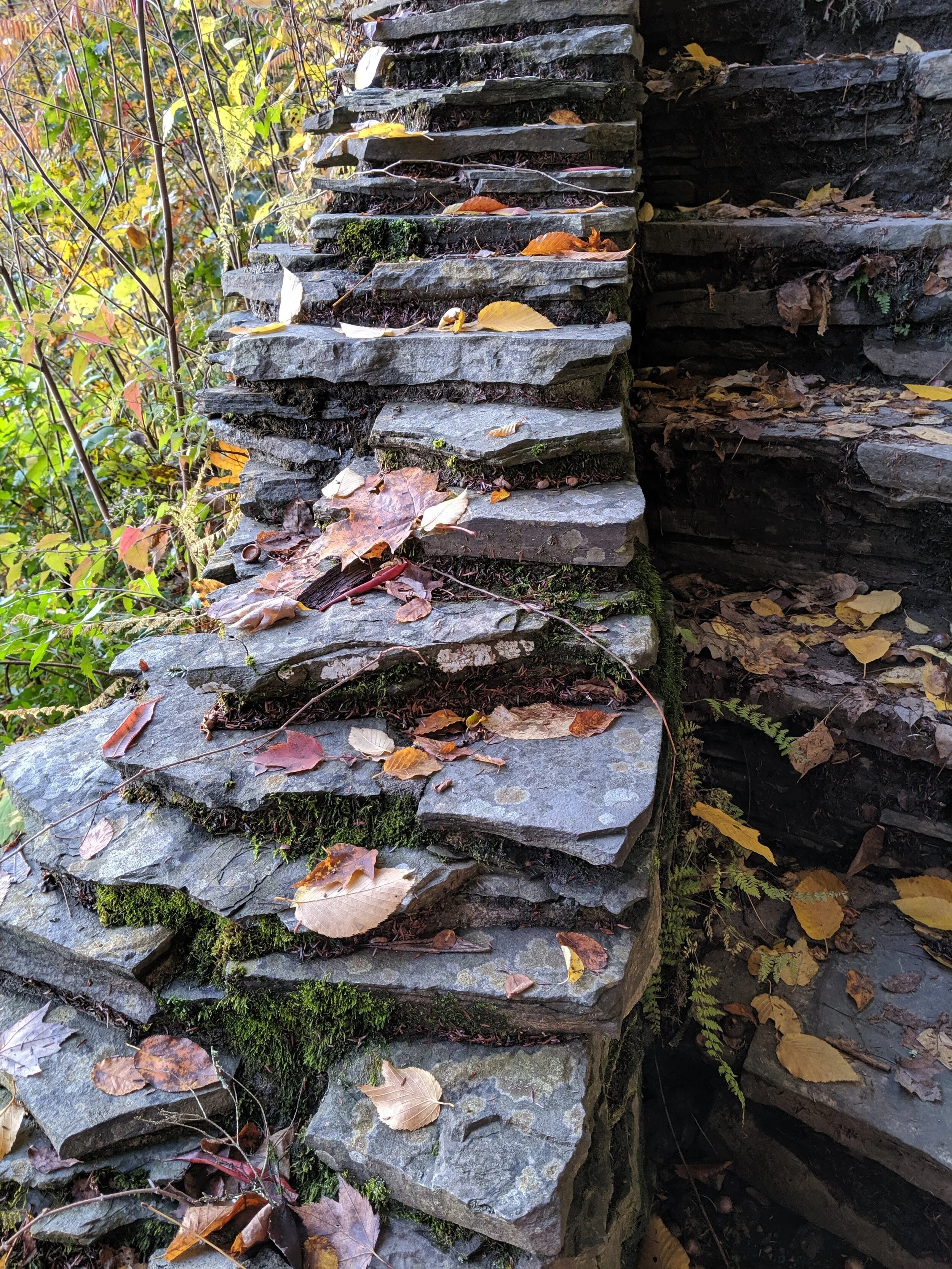 IMG_20191019_074439.jpg