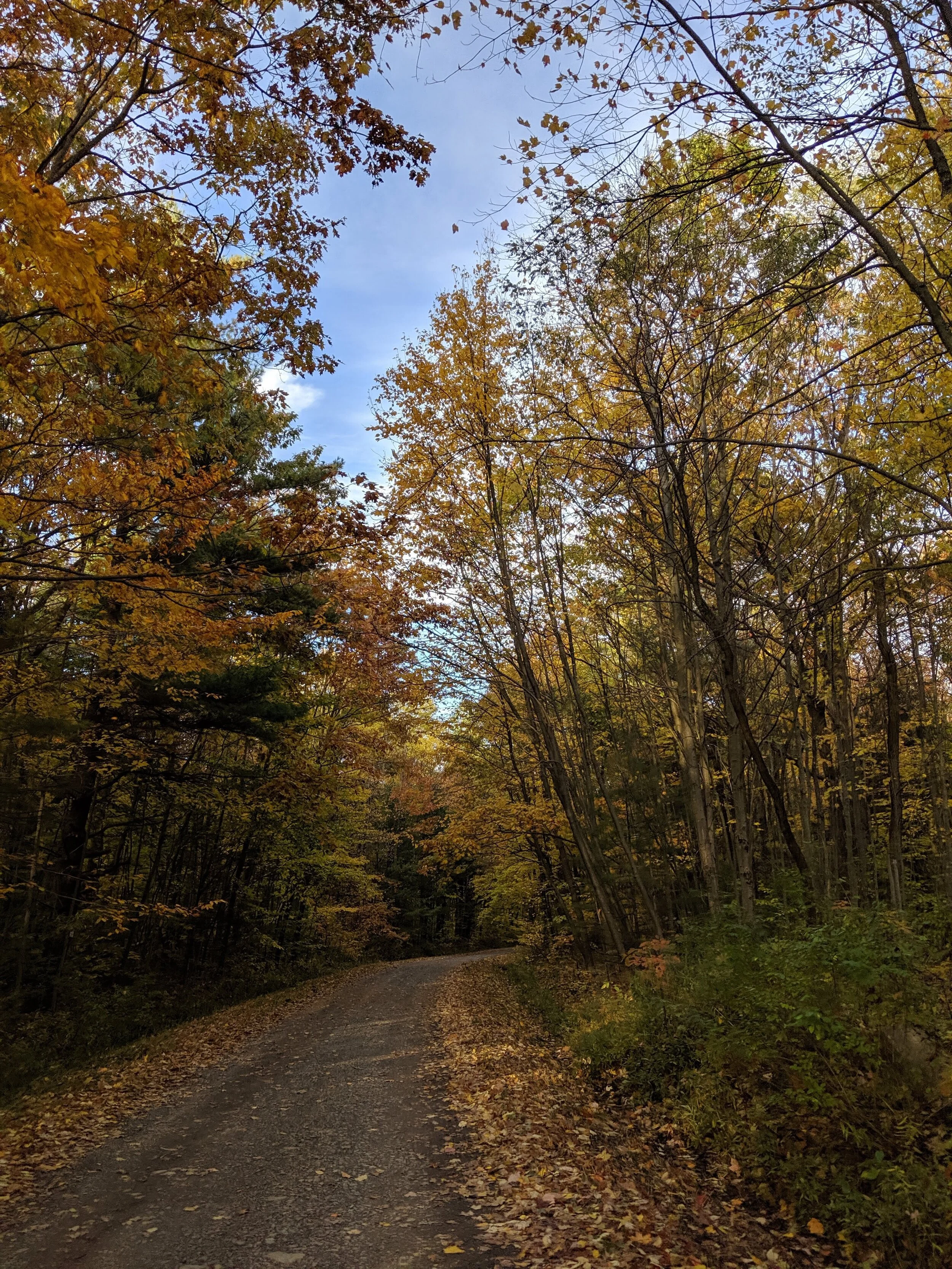 IMG_20191019_171333.jpg