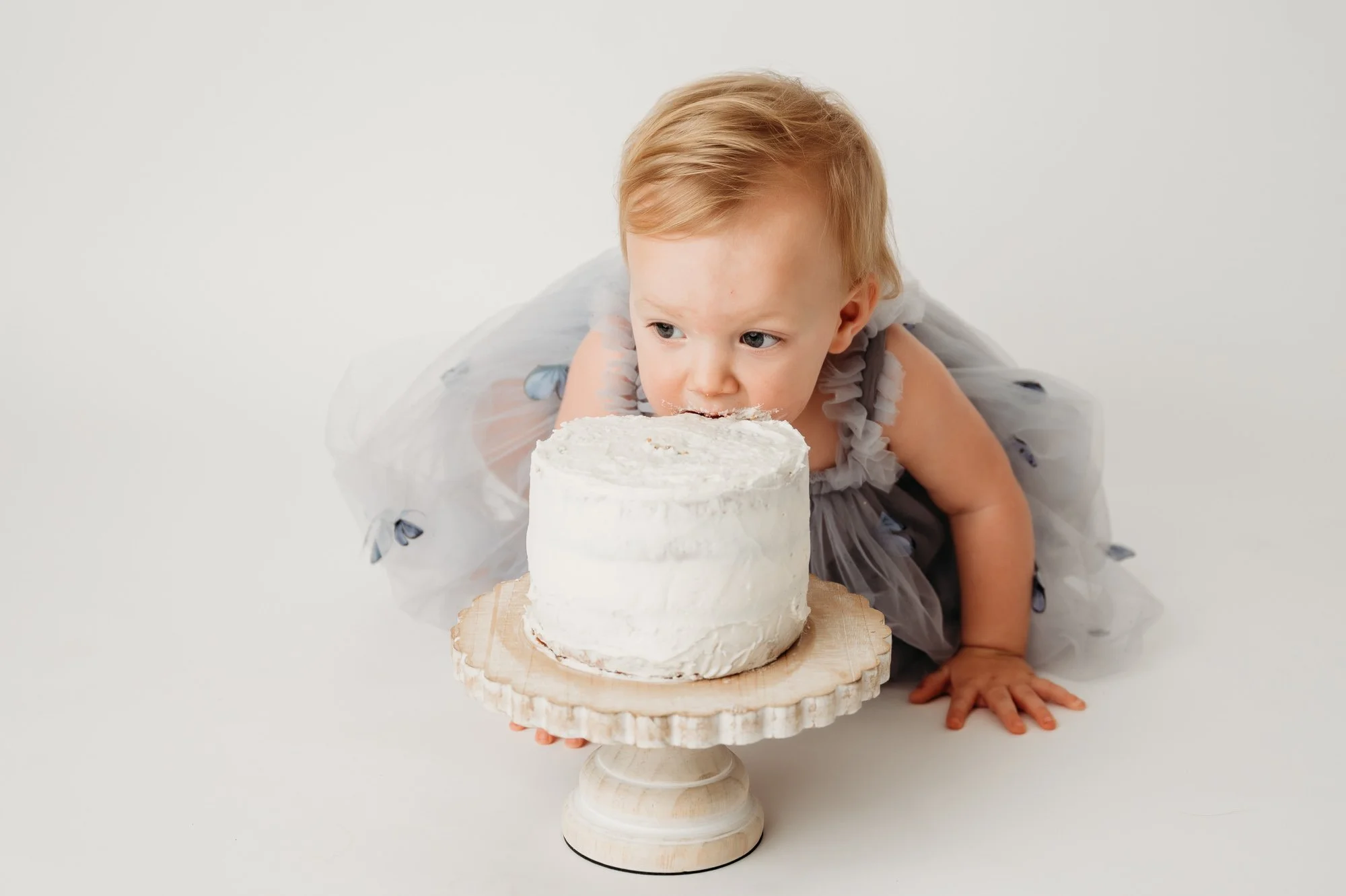 cake smash-indianapolis-fishers-photographer-3.jpg