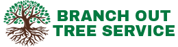 Branch Out Tree Service - WI