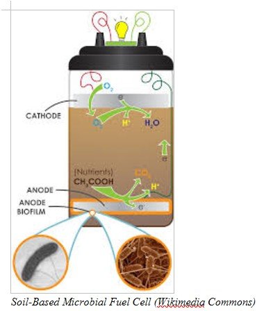 The Earth Battery (Galvanic Corrosion Process)