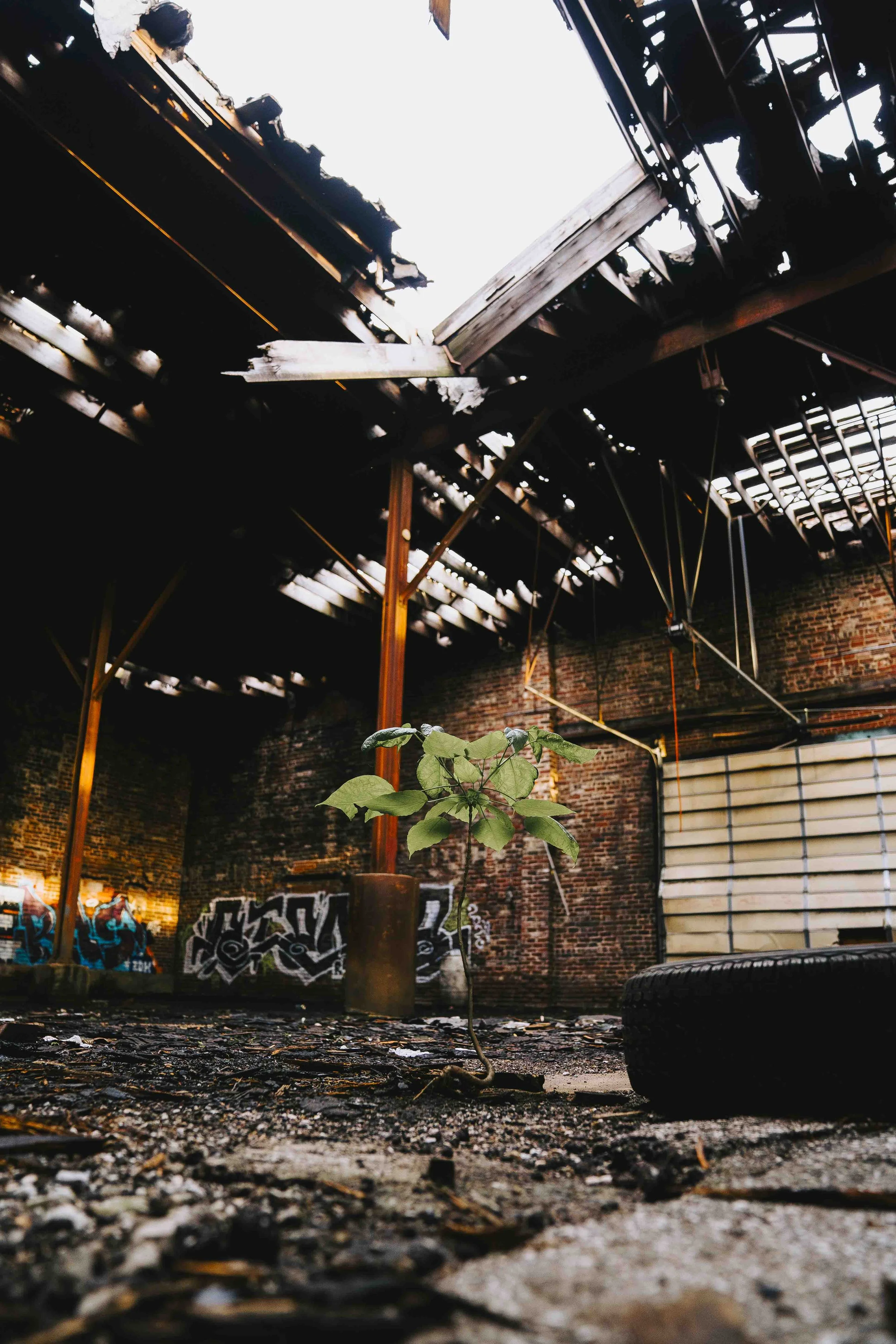 NatureSheltered(WEBSITE).jpg