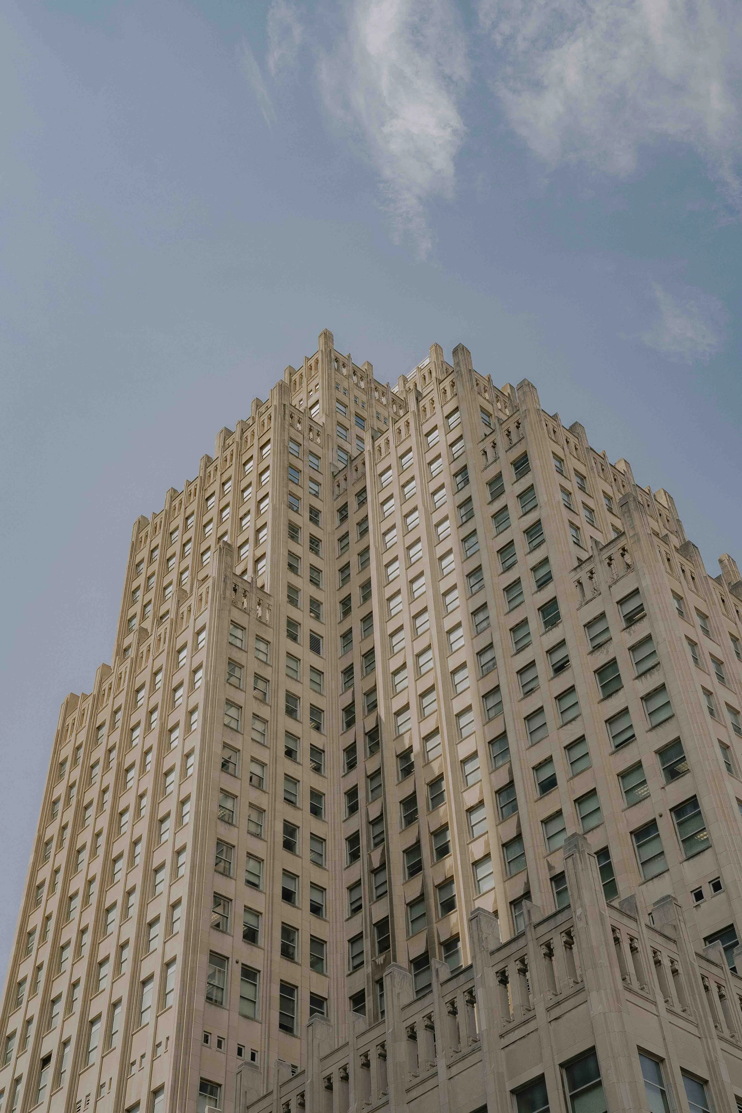 TanConcreteJungle(WEBSITE).jpg