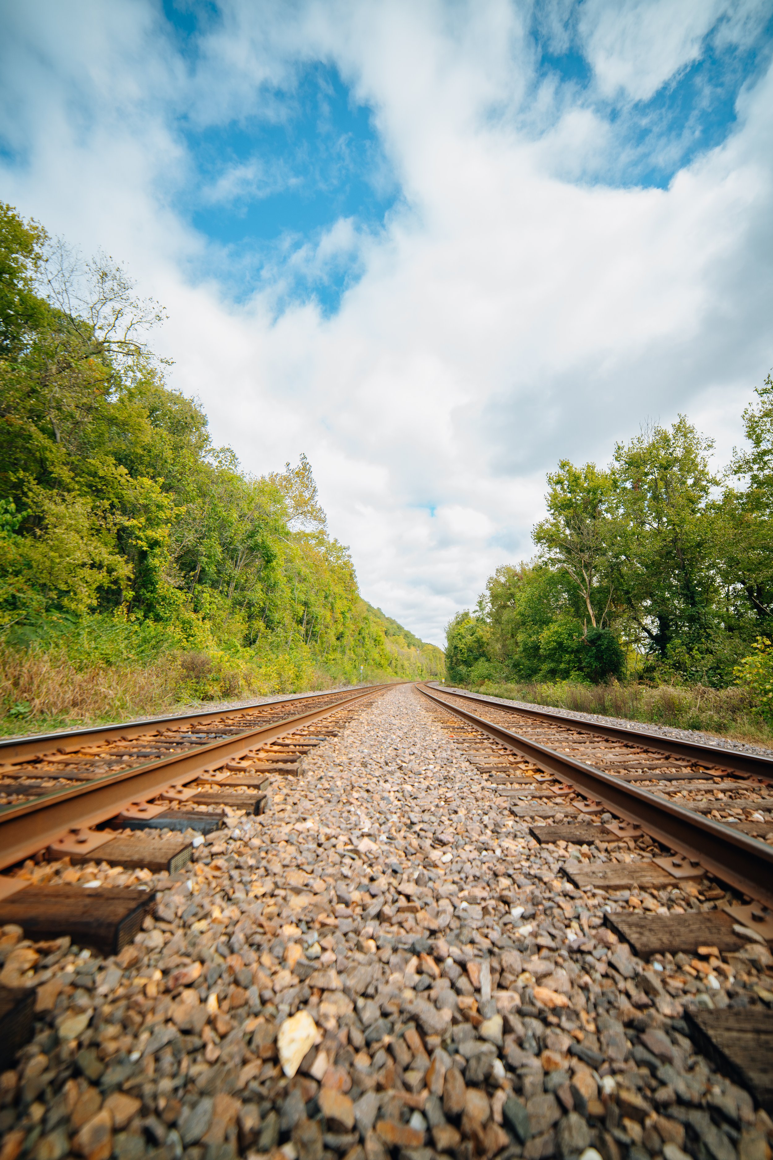 Castlewood Train Tracks (10-1619) (WEBSITE)-1.jpg