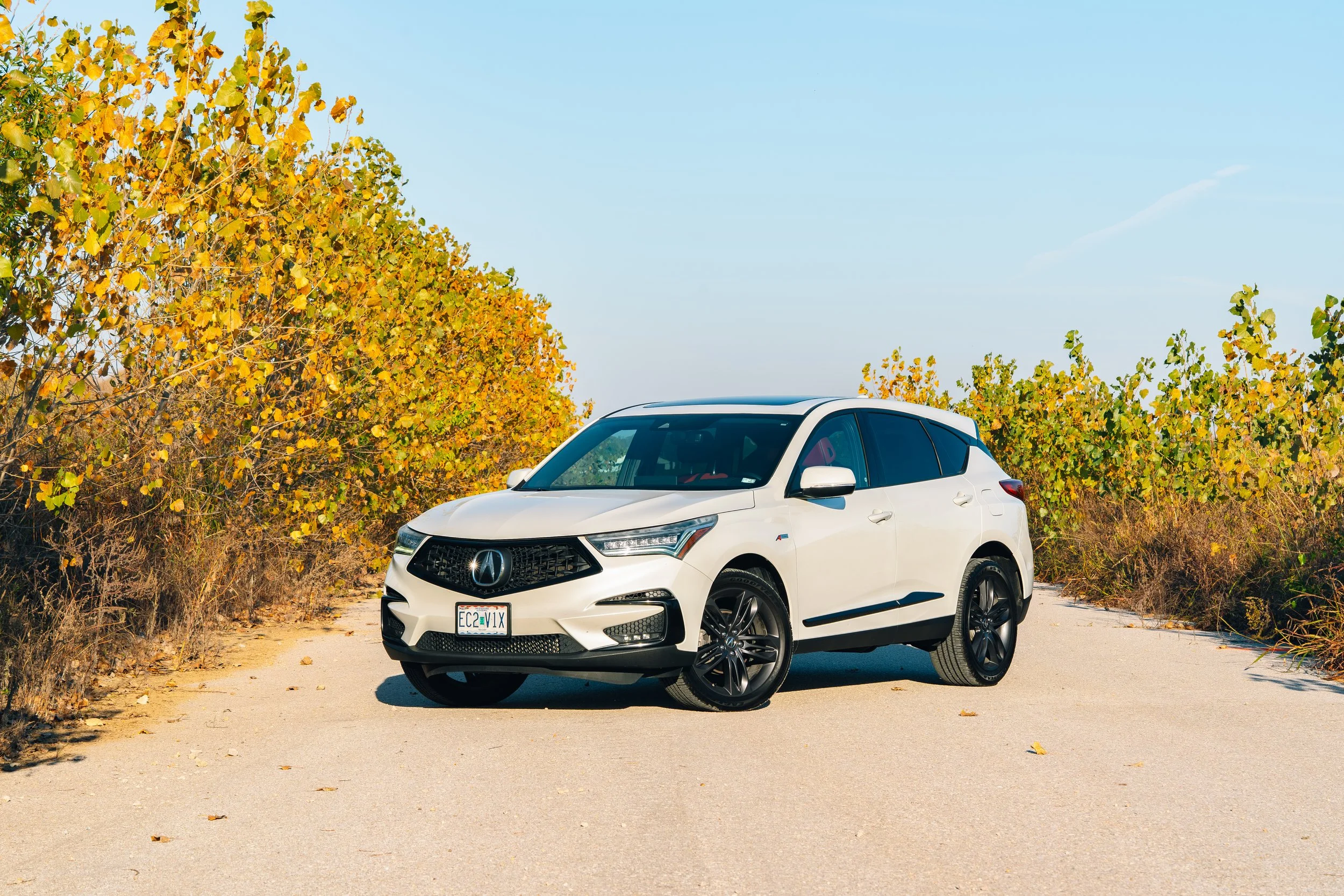 Acura RDX Fall Vibes (WEBSITE)-1.jpg