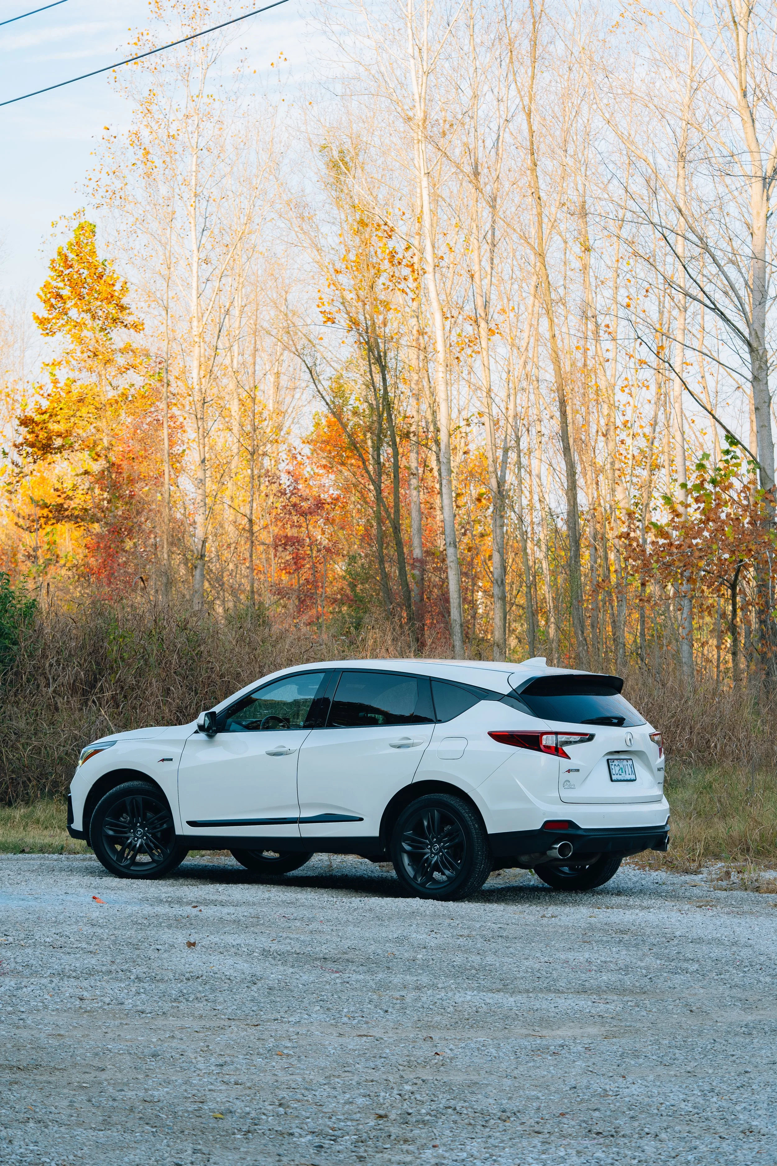Acura RDX Fall Vibes Gravel (WEBSITE)-1.jpg