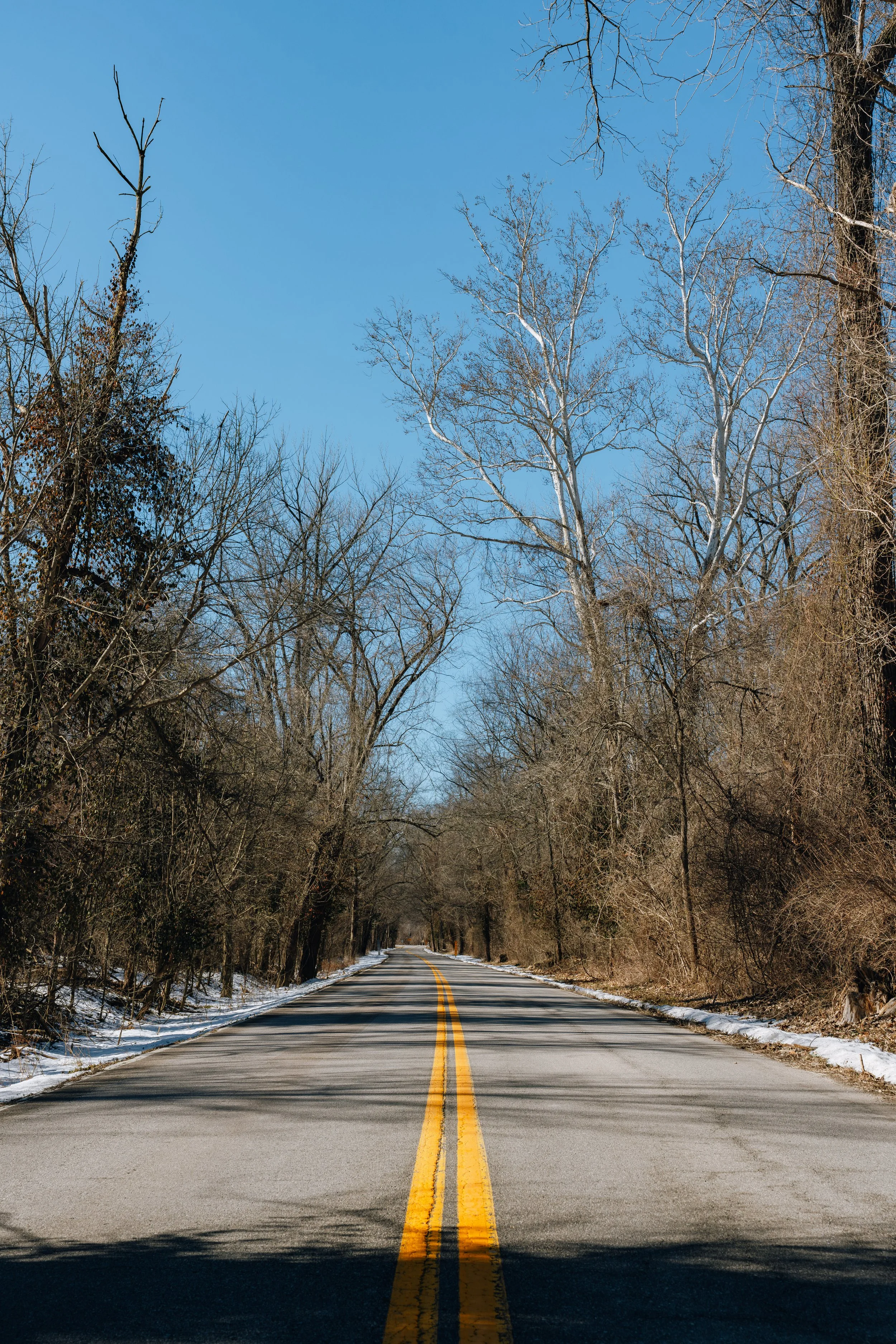 2-7-26 Chesterfield Winter Road Vertical (WEBSITE)-1.jpg