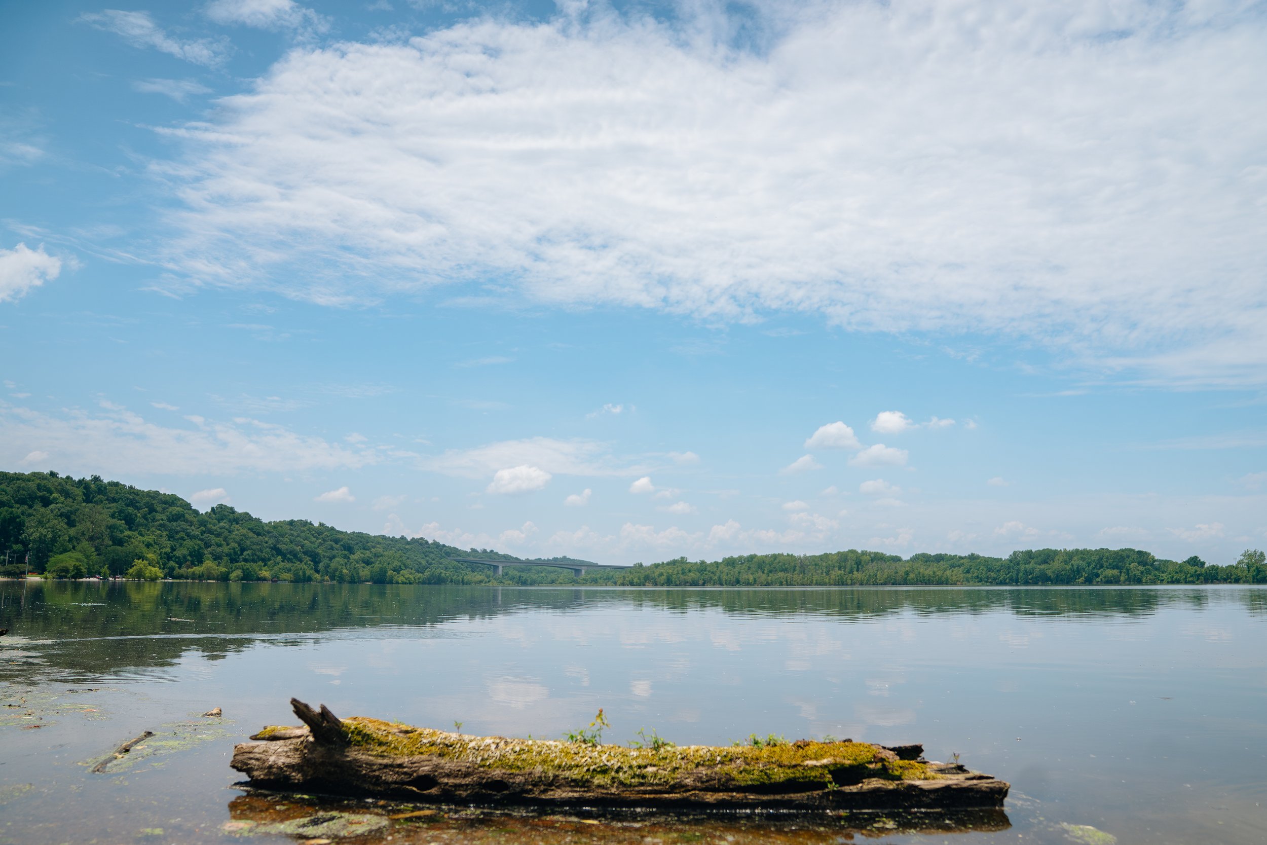 Creve Couer Park Log (7-1-19) (WEBSITE)-1.jpg