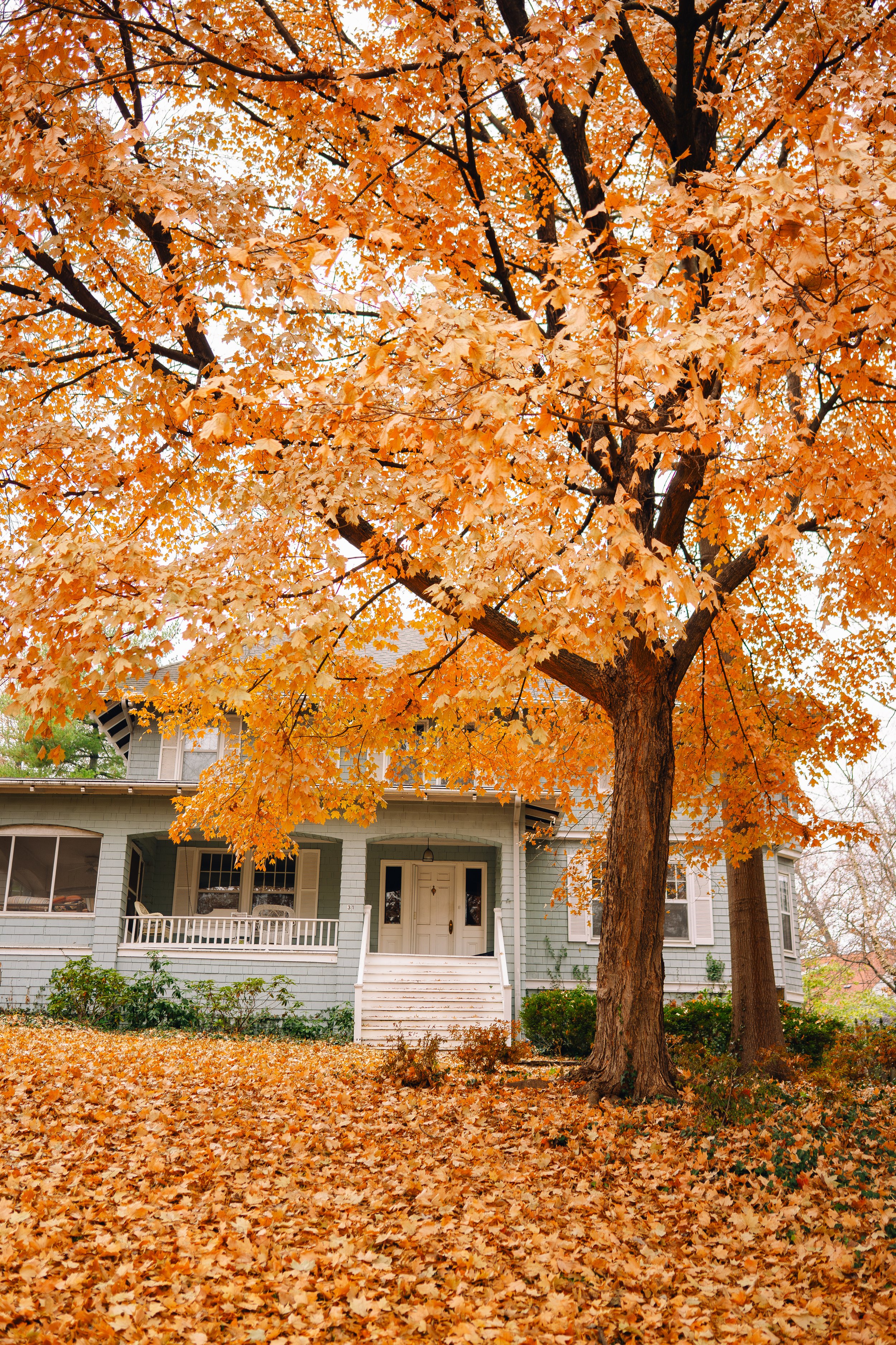 Rock Hill in The Fall (11-26-19) (WEBSITE)-1.jpg