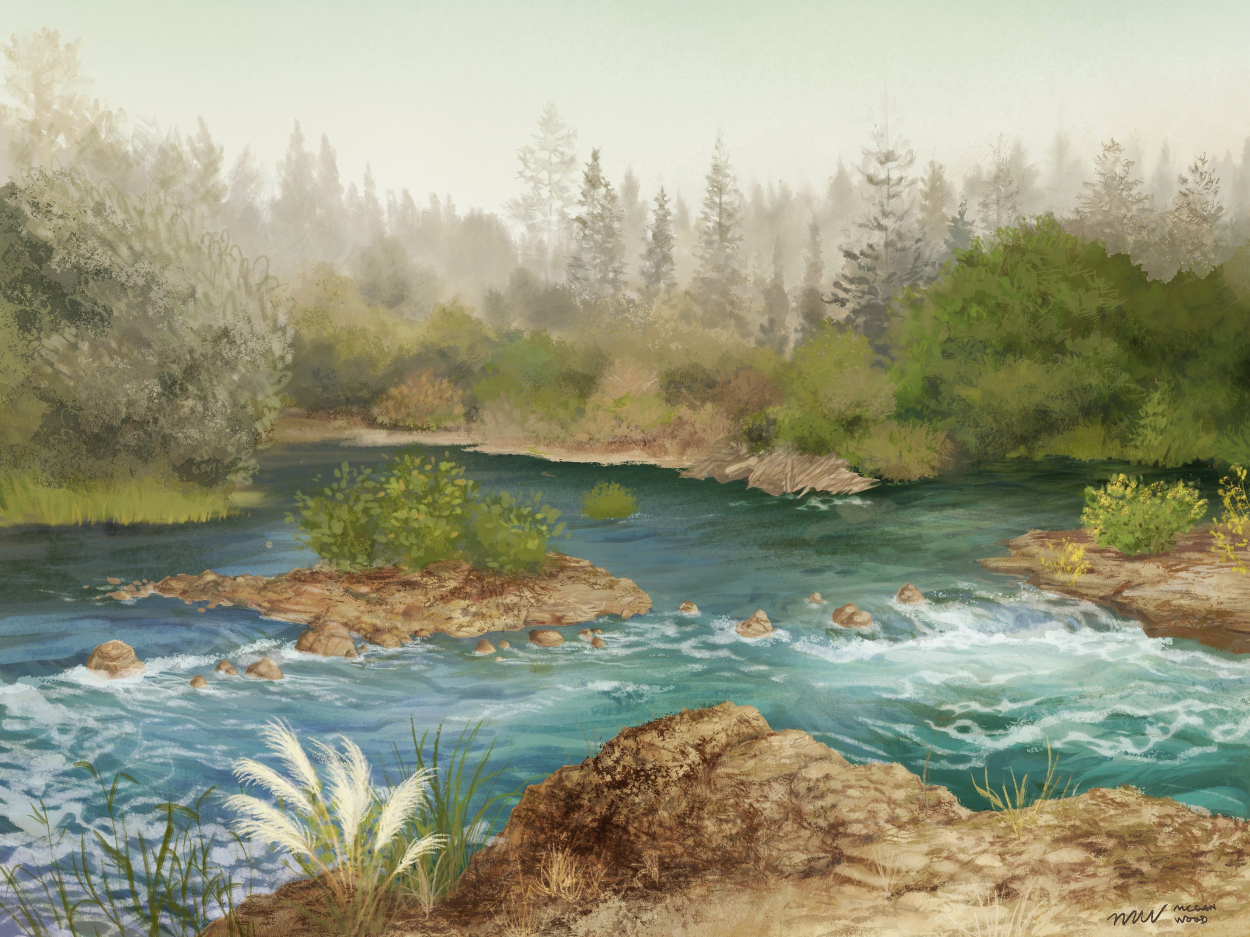 River.jpg