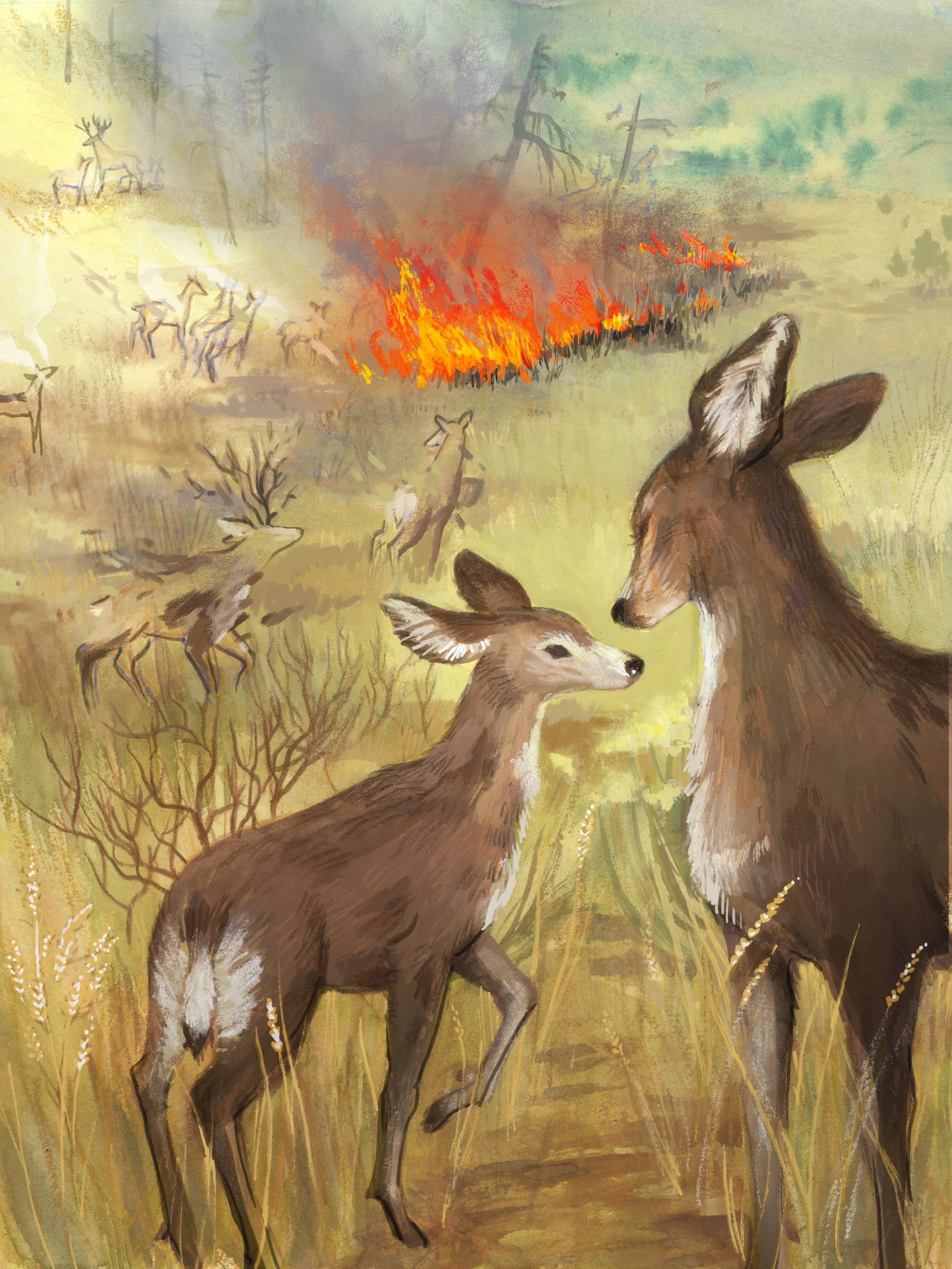 muledeer-edit-copy.jpg