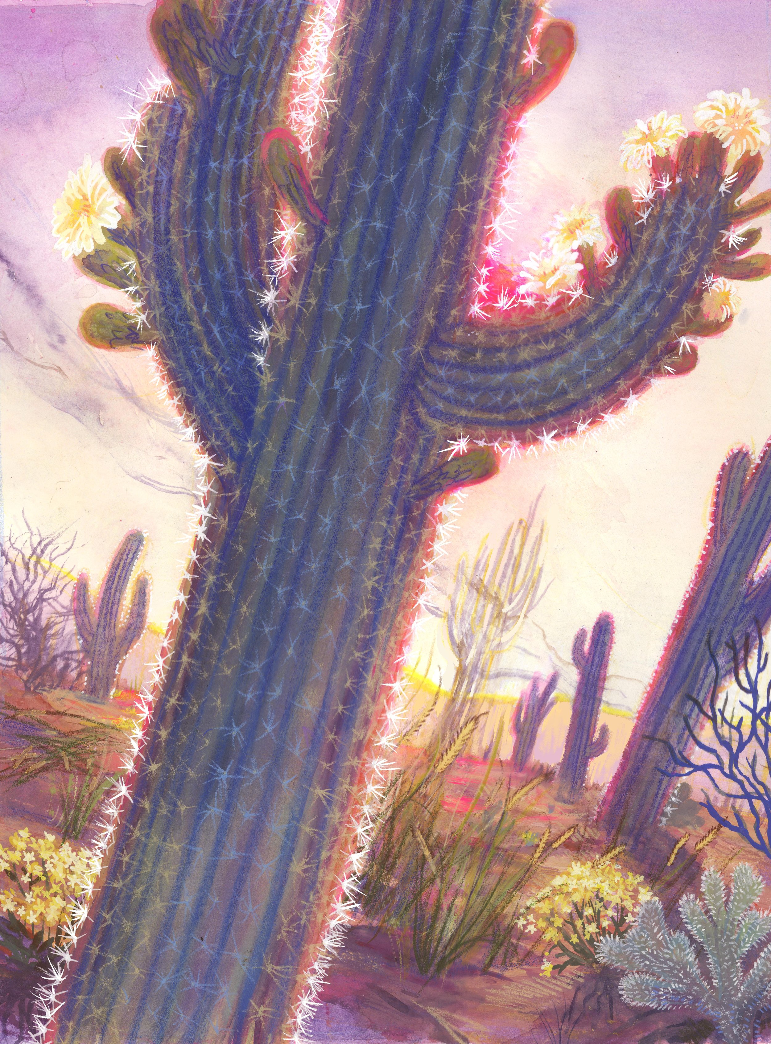 saguaro.jpg