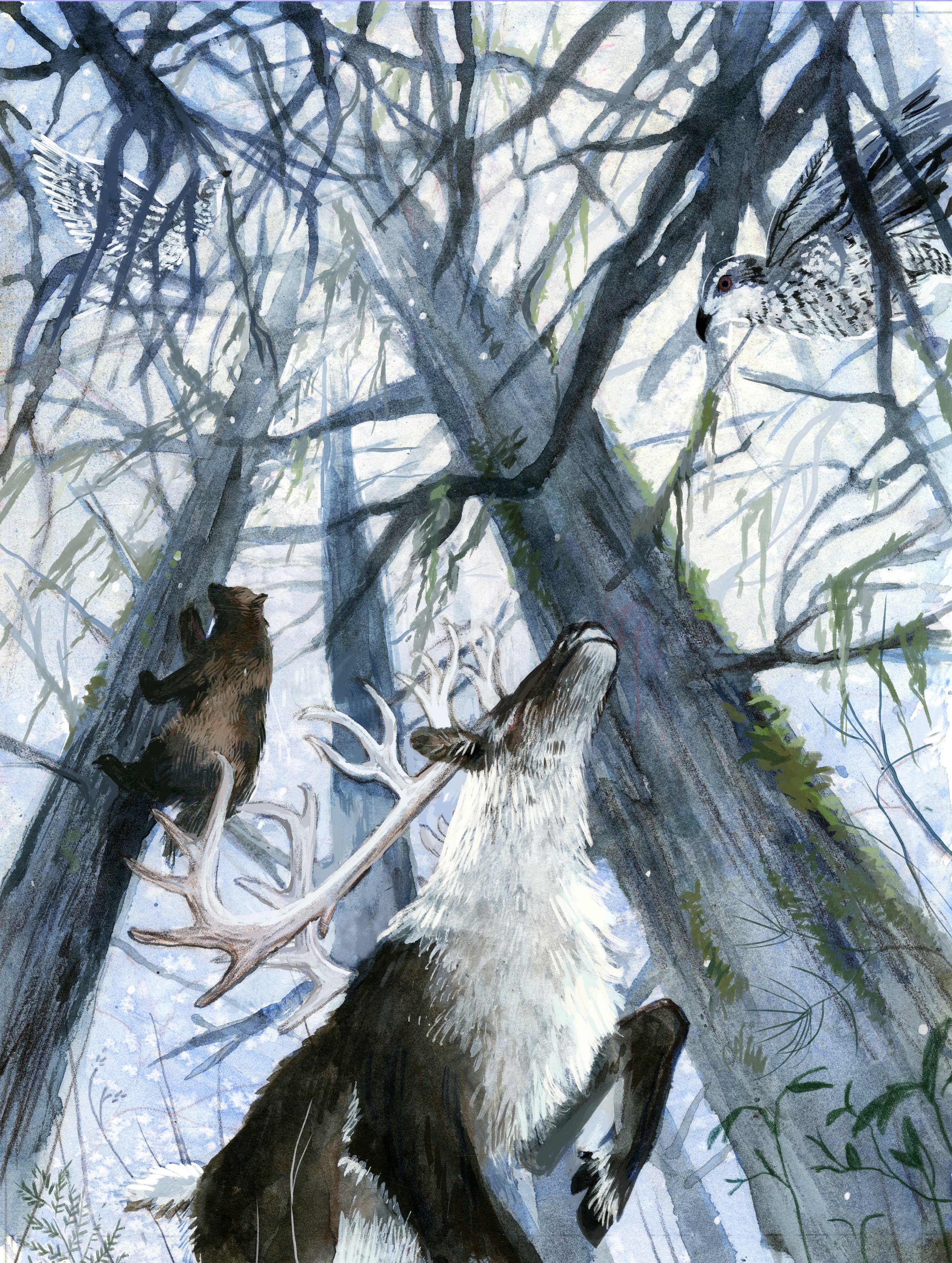 wetbeltcaribou-edit.jpg
