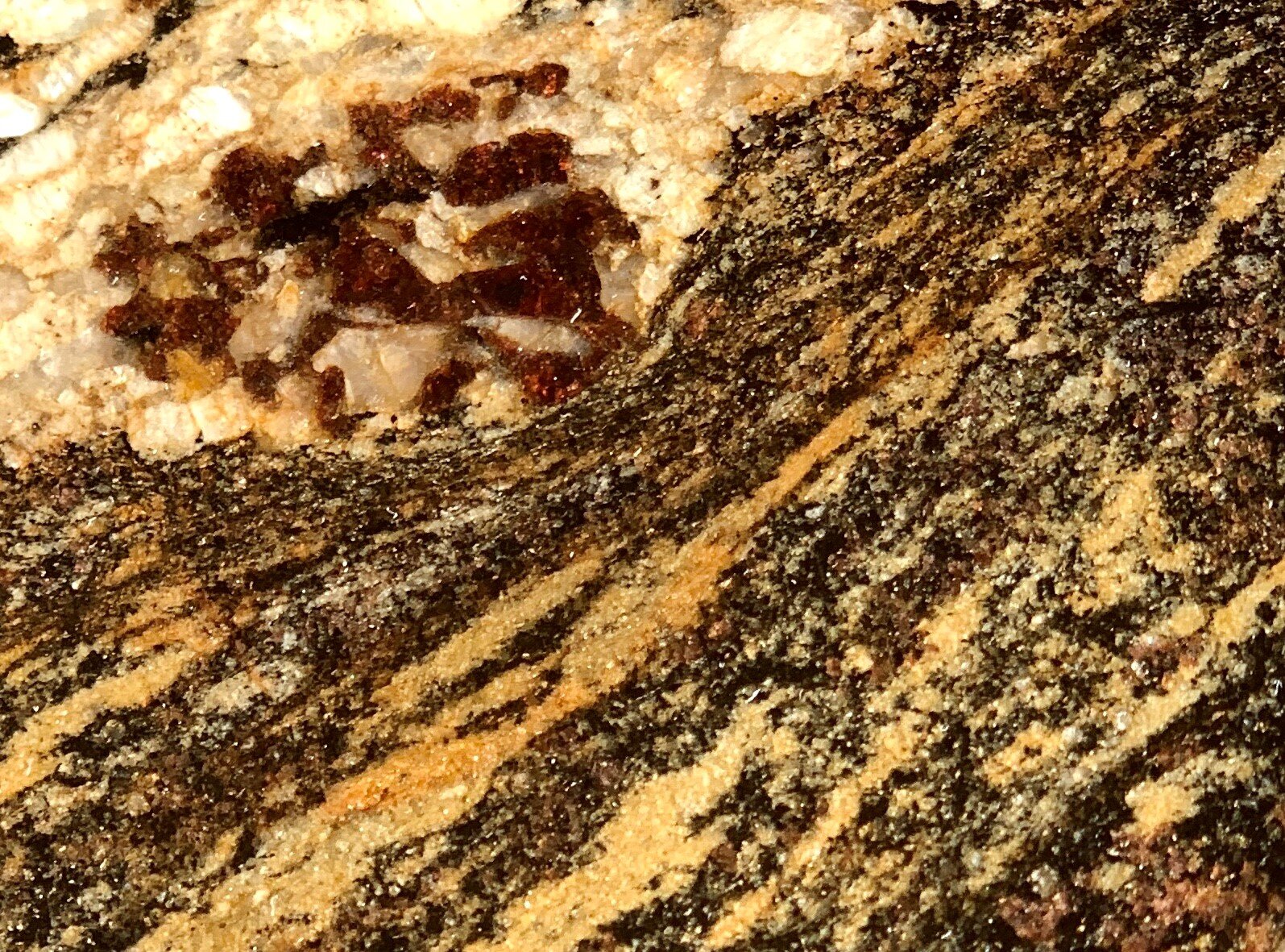 gneiss 2.jpg