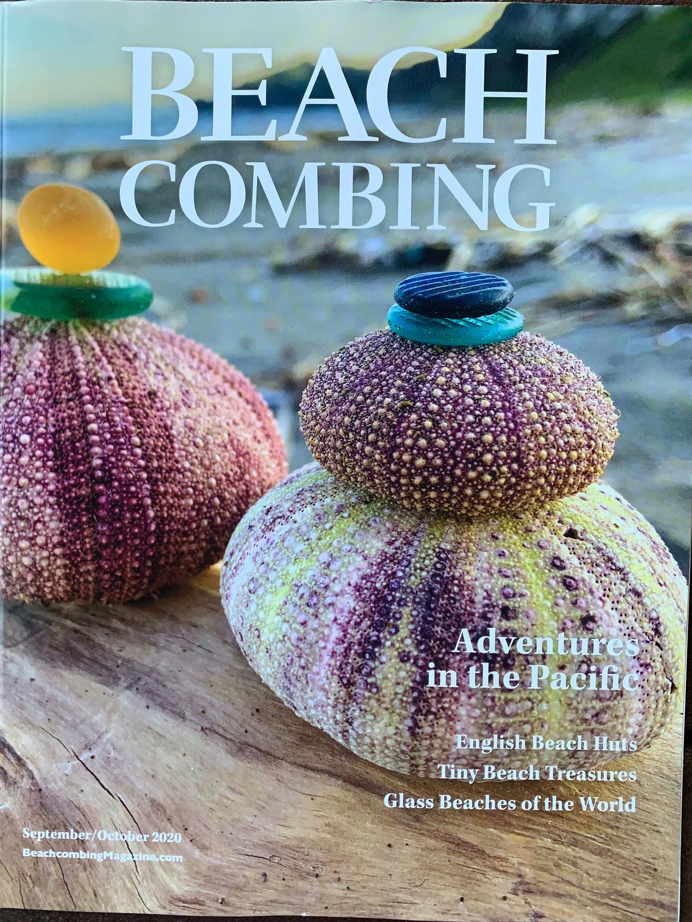 Link to Beachcombing Magazine article