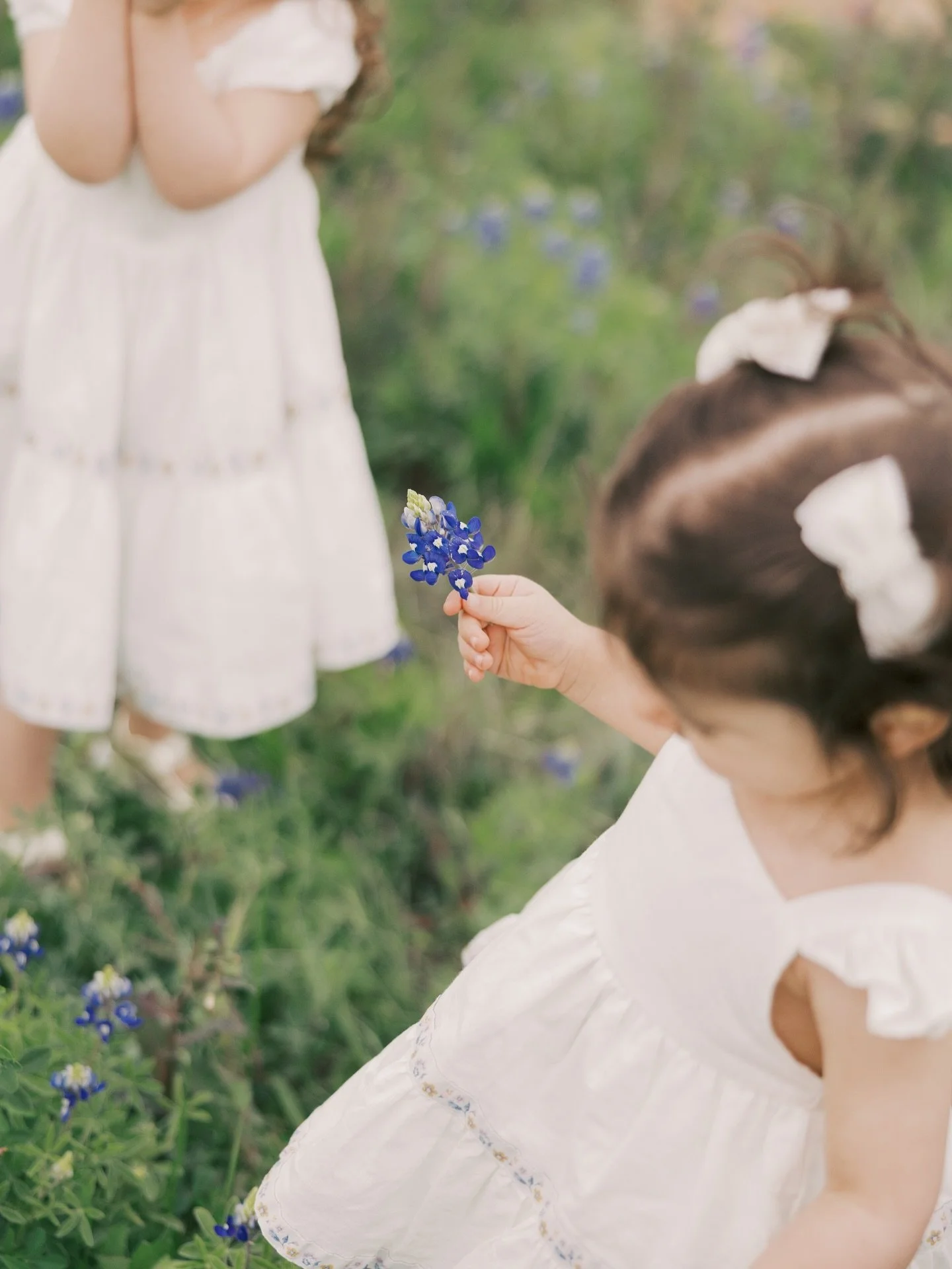 As I&rsquo;ve been driving around DFW lately, I&rsquo;ve started spotting bluebonnets popping up along the roadsides. My favorite seasons is almost here 🥹

Bluebonnet season only lasts about 2&ndash;3 weeks, which makes it feel even more special!

T