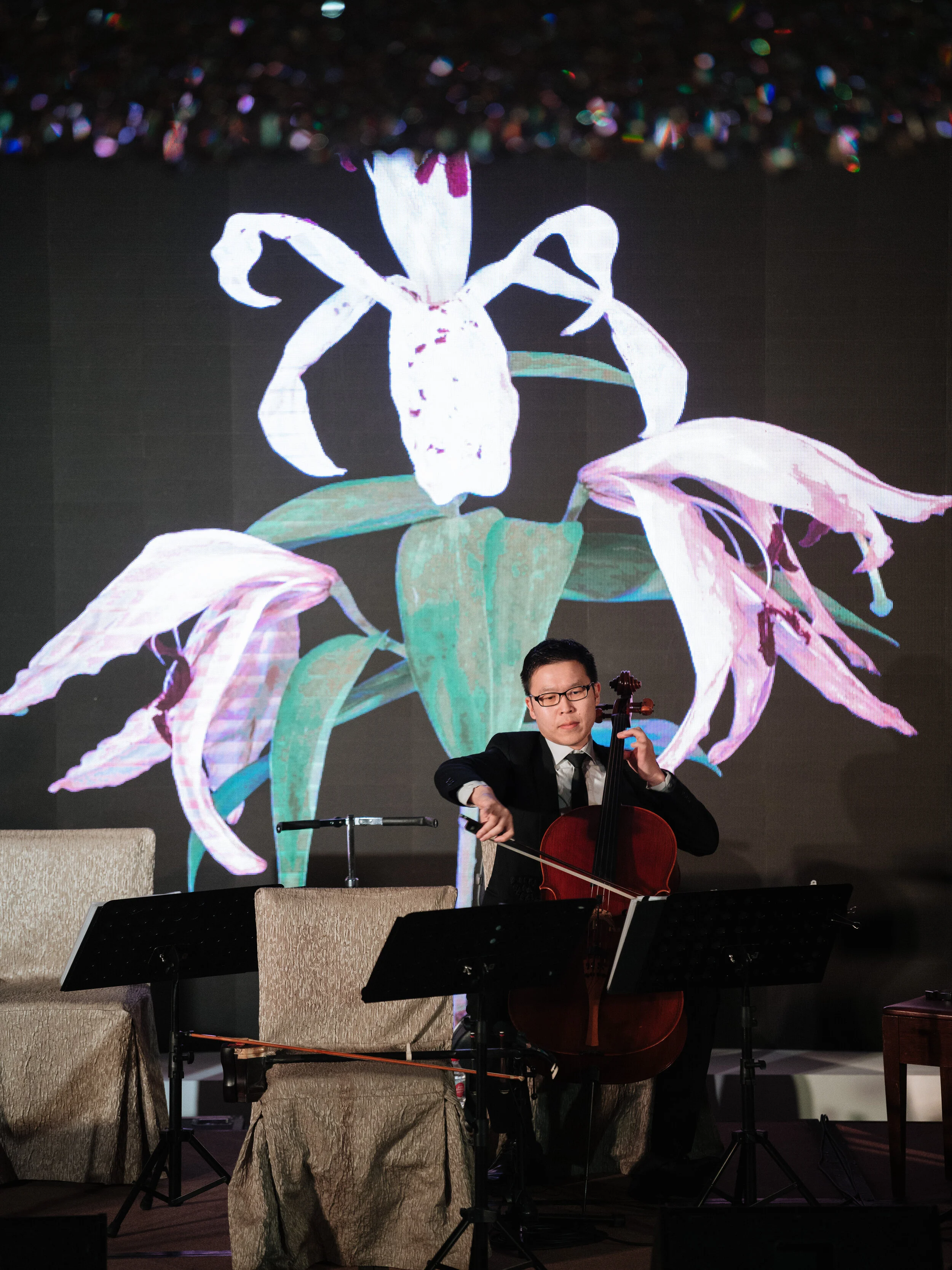 20190420 Teng Fullerton-24.JPG