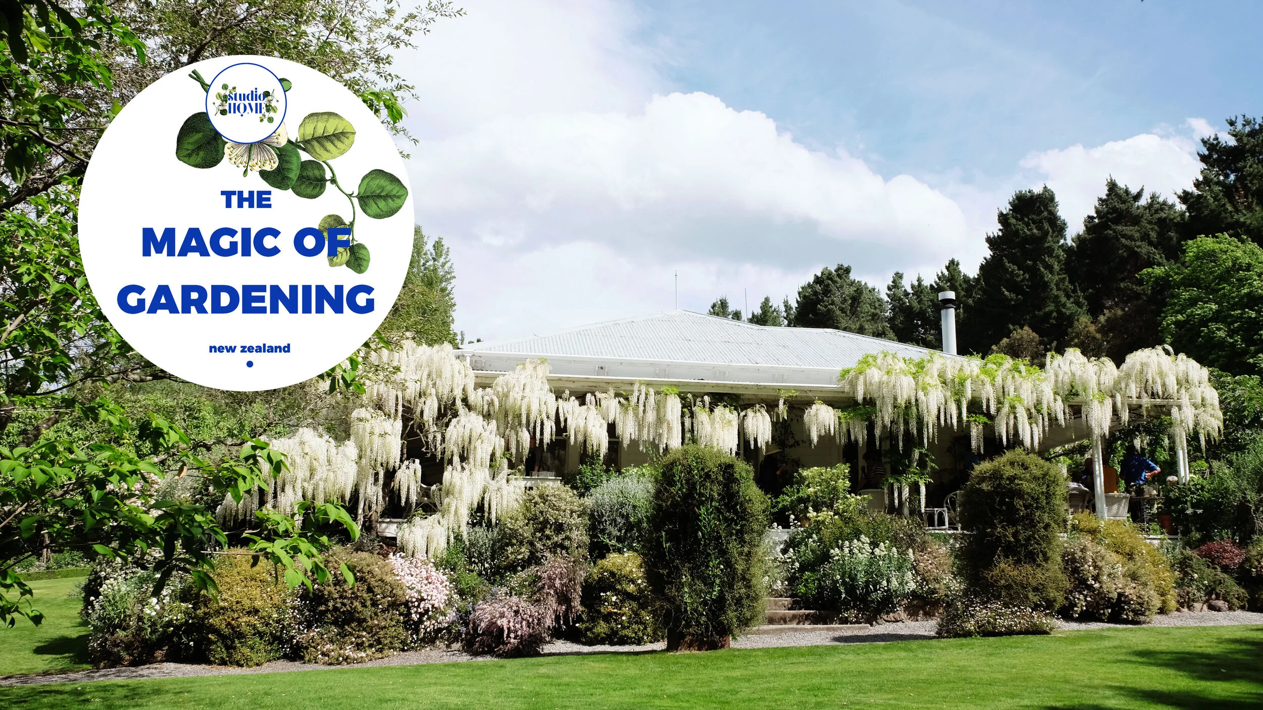The Magic of Gardening: "Barewood"