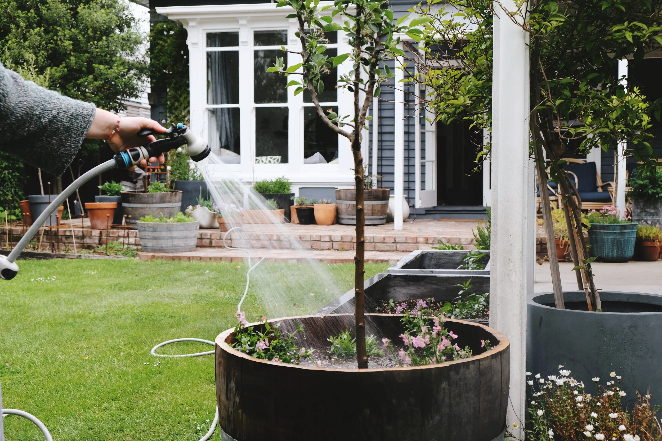 A beginners guide to watering 