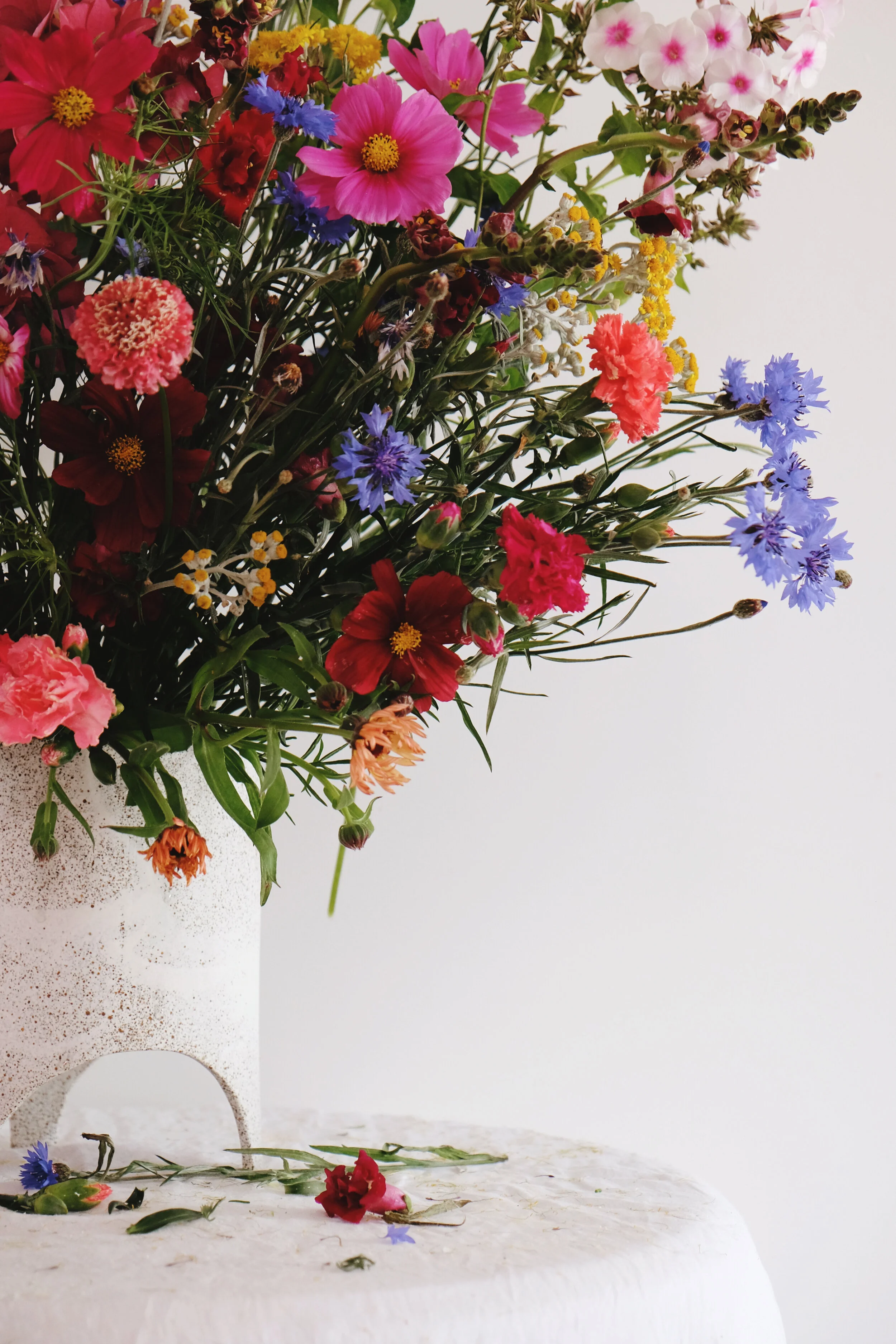 Hardy annuals to fall in love with flowers