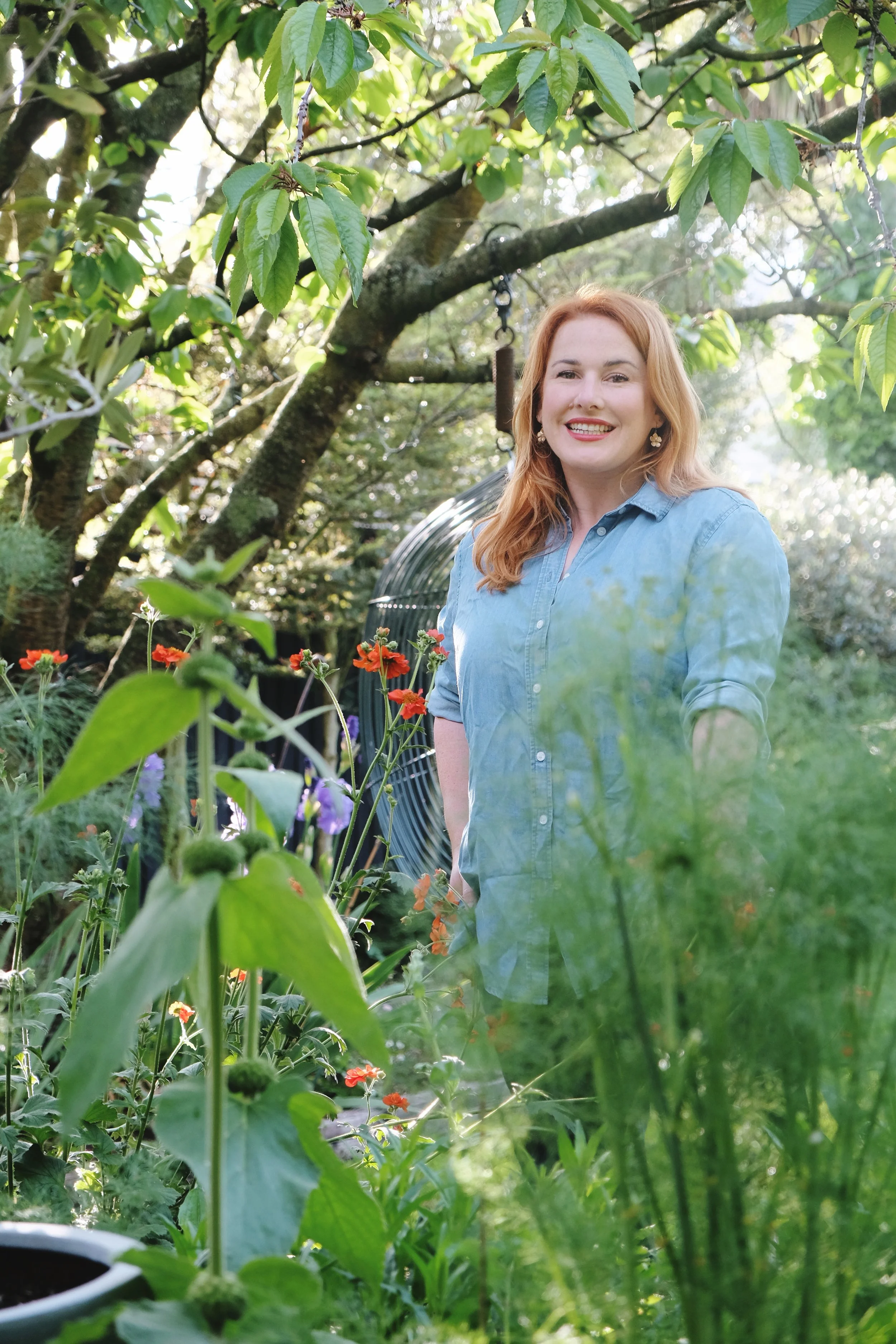 Are houseplants a gateway to gardening ?