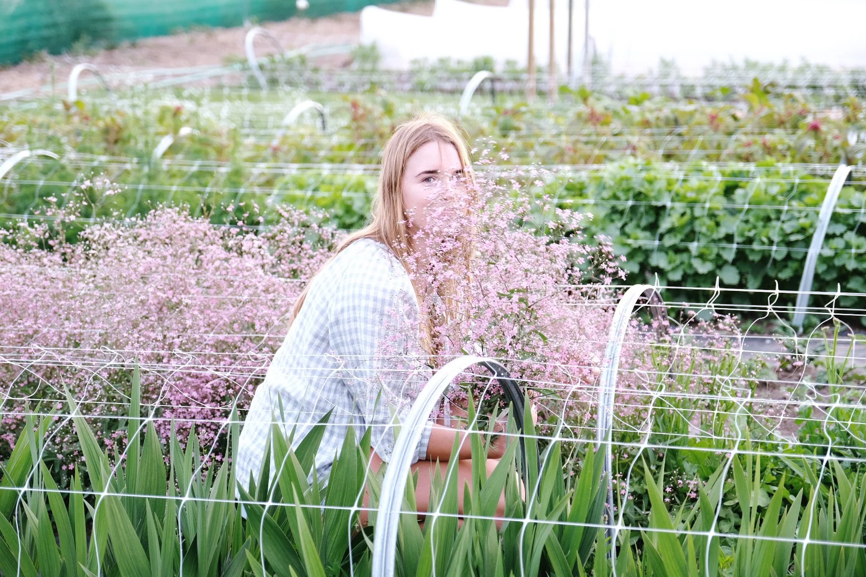 Flower farming in the digital age