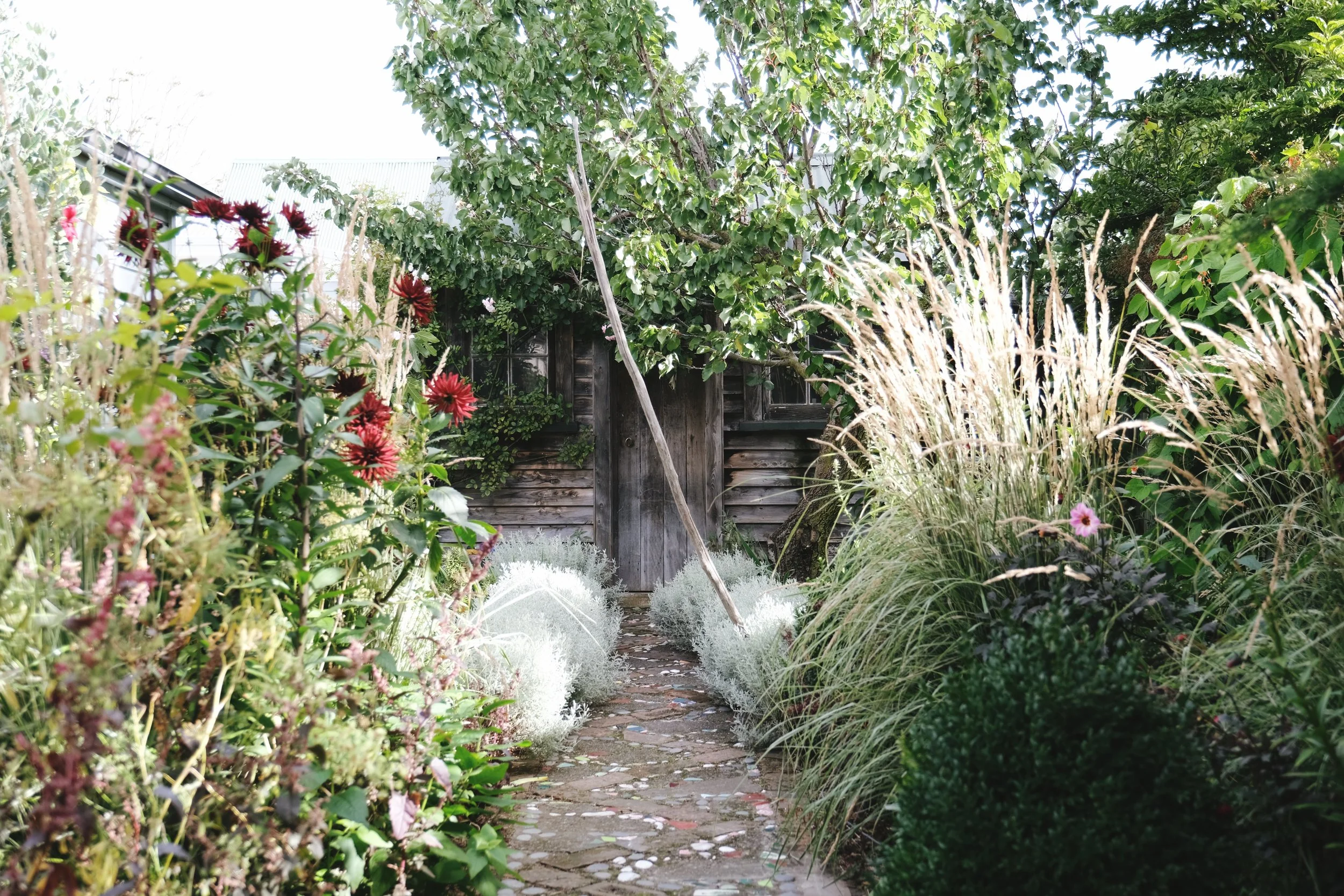 Garden blogs and newsletters