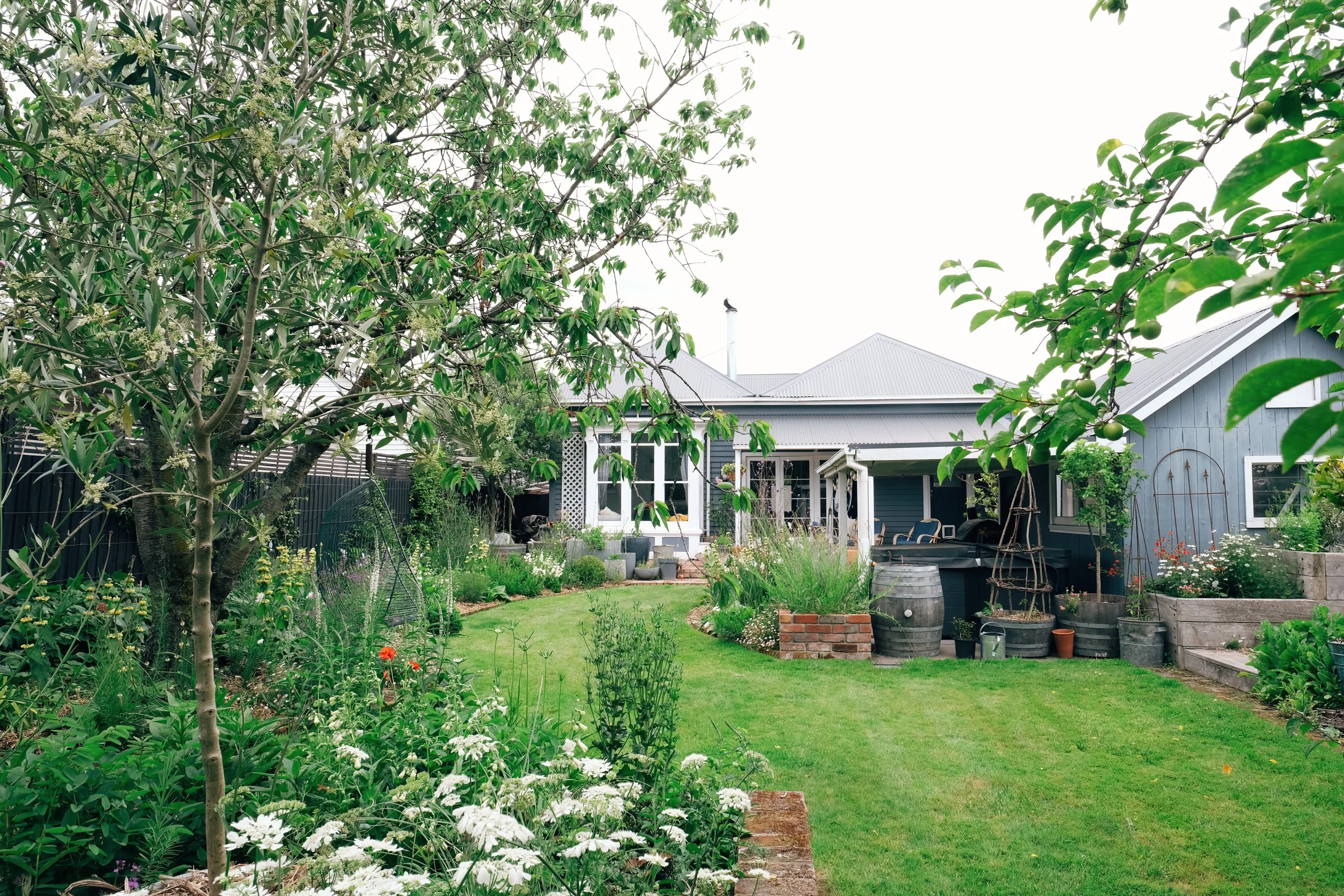 A Garden in Progress - Part Two 
