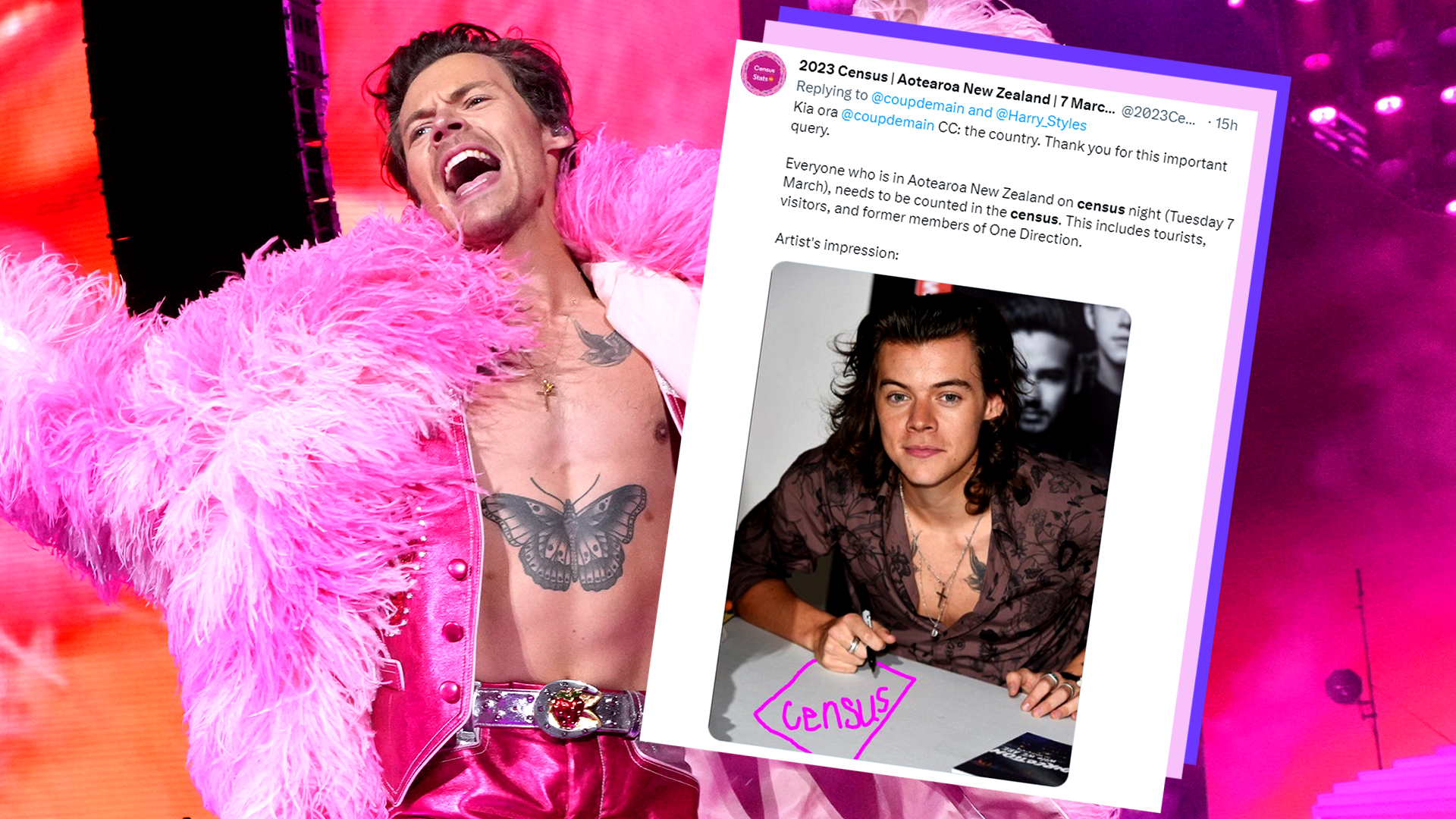 Harry styles census.png