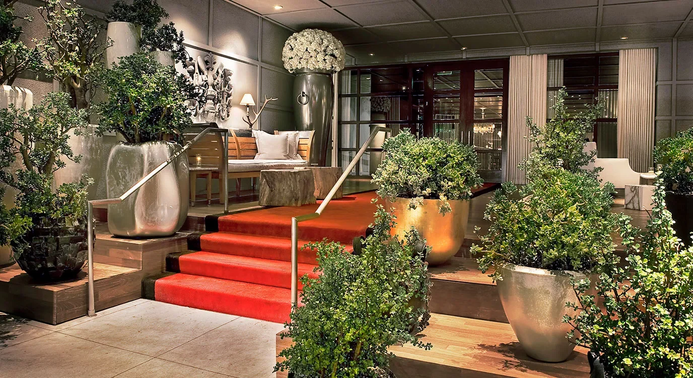 Beverly_Hills_Background_1376x752.webp