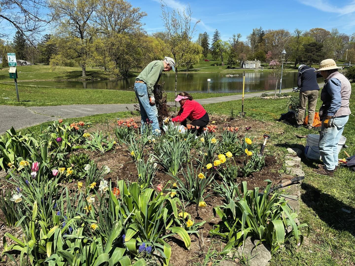 Downing Park friends transplanting flowers at corner of 9W and Third. Next week we work with students from @_nfawest to refresh the gardens along Third Street! #newburghfreeacademy