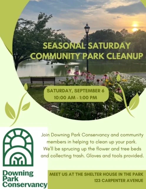 Summer Saturday Cleanup