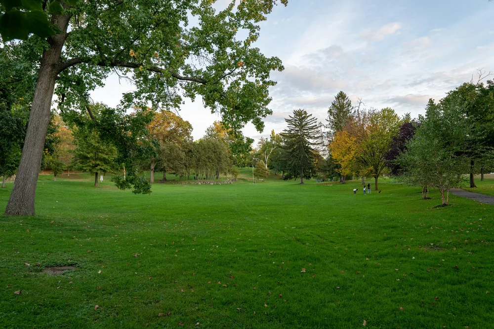 About — Downing Park Conservancy