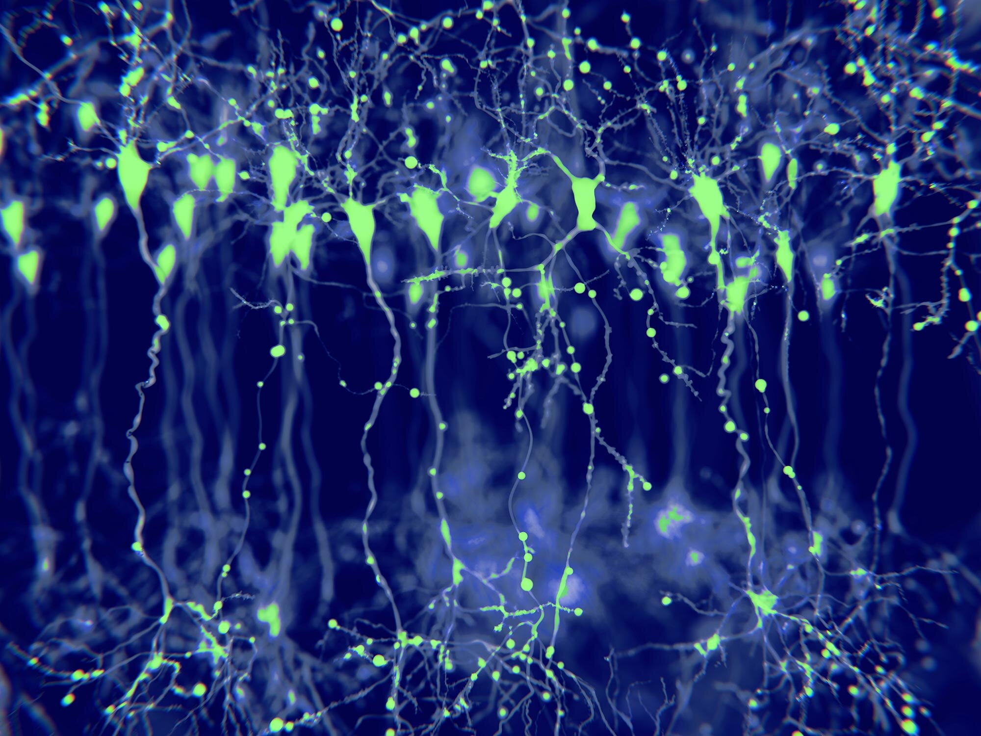 Neuron-like data coming in 1.0