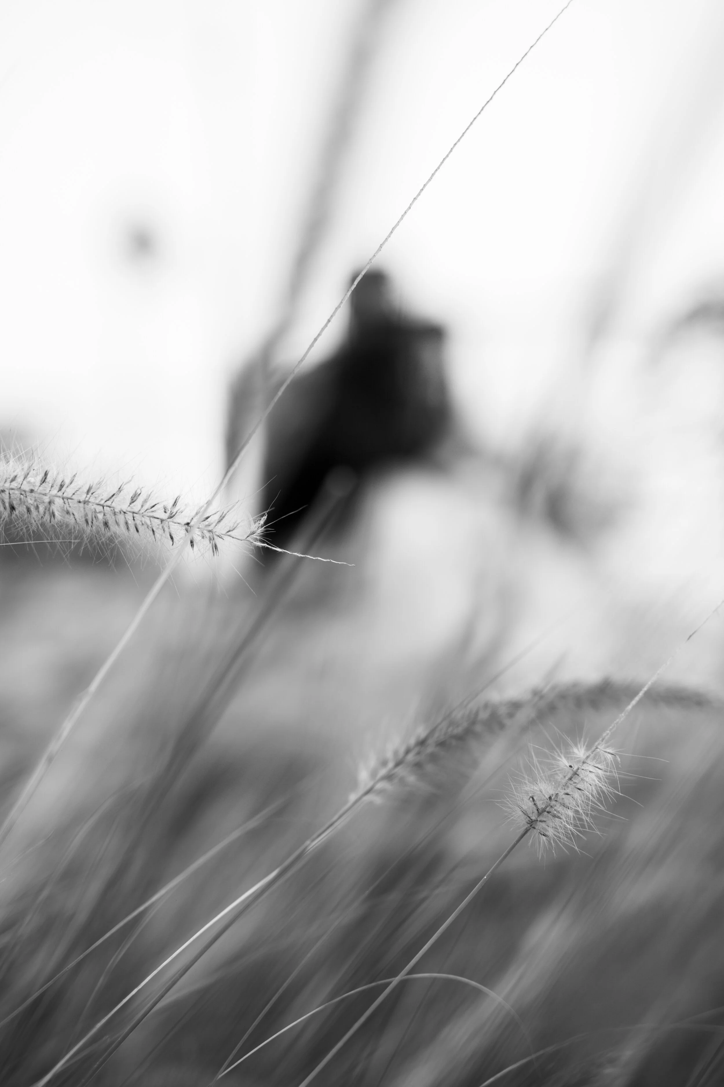 2J2A8671 final edit.JPG