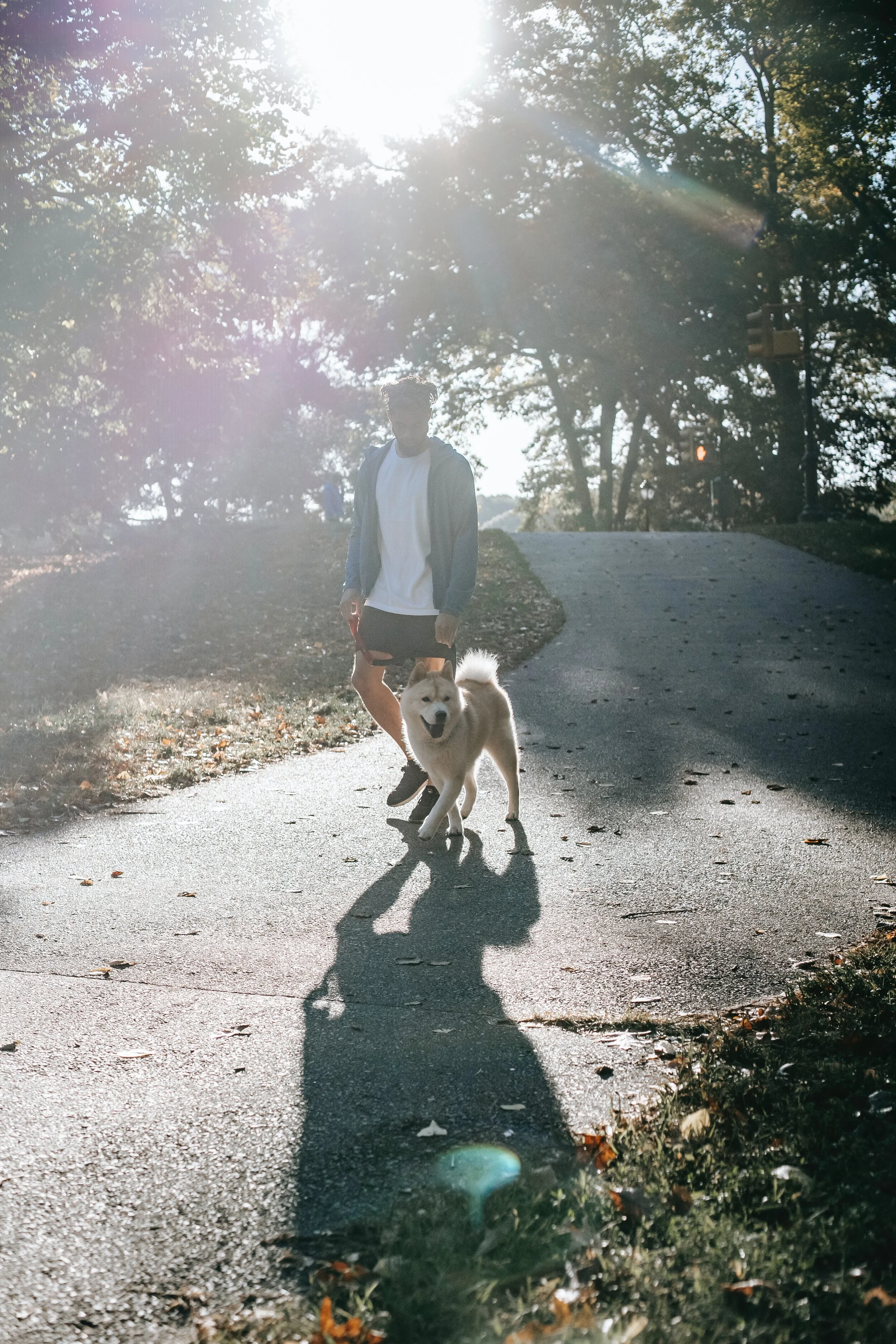 hundpromenad.jpg