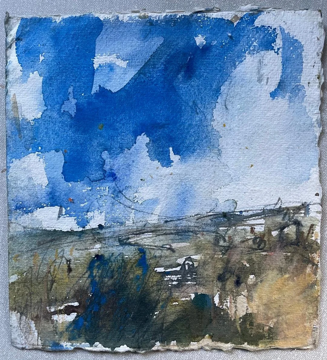 Pembrokeshire_scrubland.jfif