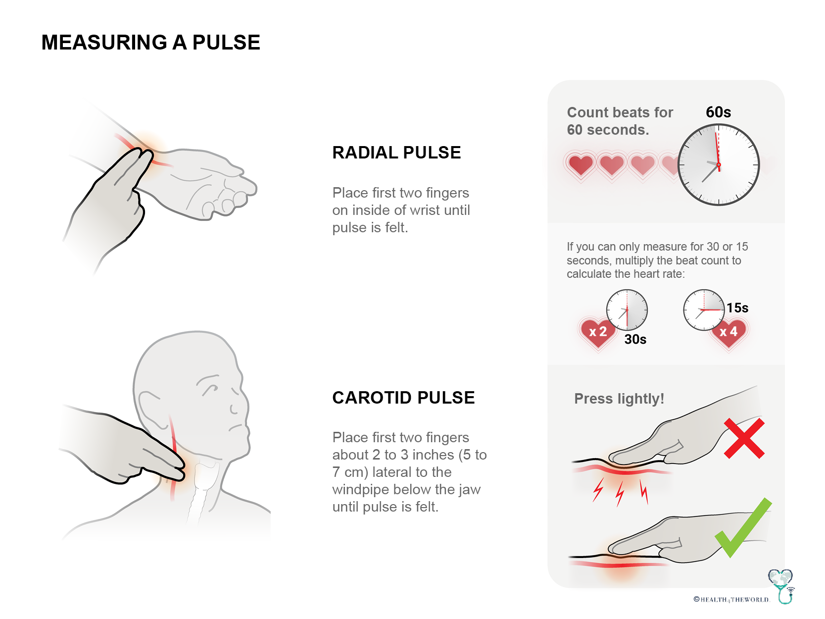 E Learning Module How To Measure Pulse And Respiration ELVIRE THOUVENOT e-learning-module-how-to-measure-pulse-and-respiration-elvire-thouvenot