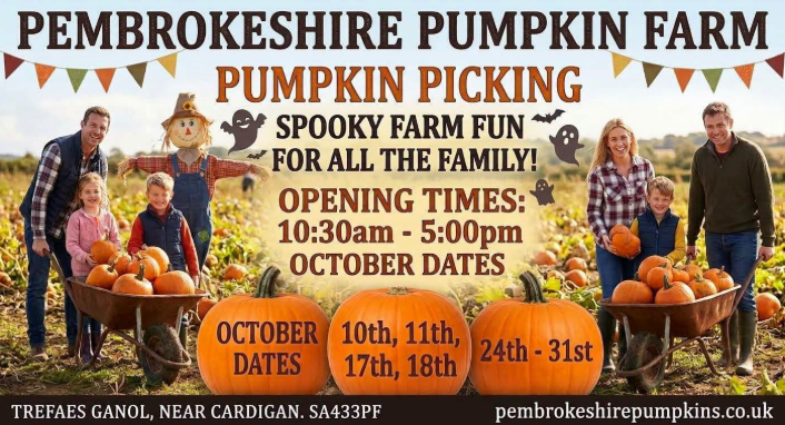 Pumpkin patch advert - October Half Term