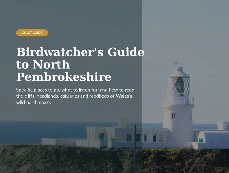North Pembrokeshire Birdwatching Guide