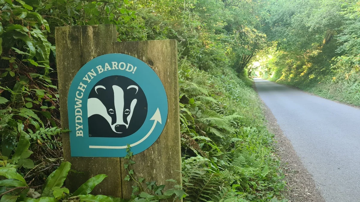 Drive way from Cilgerran to Cardigan Wildlife Centre