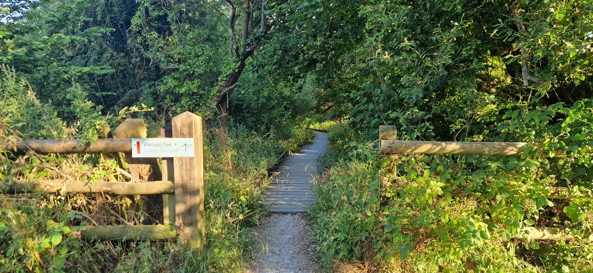 Boardwalk pathway to Cardigan Wildlife Centre from Cardigan bridge