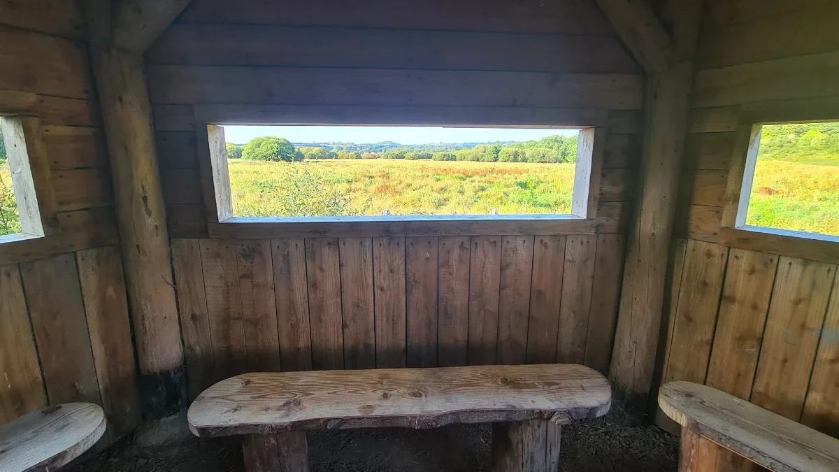 Cardigan Wildlife Centre Buffalo Lookout Hide