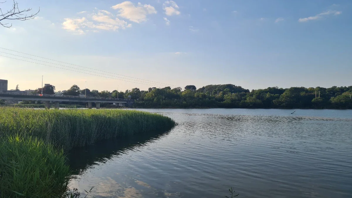 River Teifi with Cardigan Bridge in the background