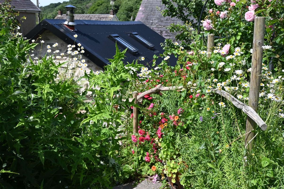 Bro Deg Cottage Moylegrove - Pembrokeshire Holiday Co 15.jpg