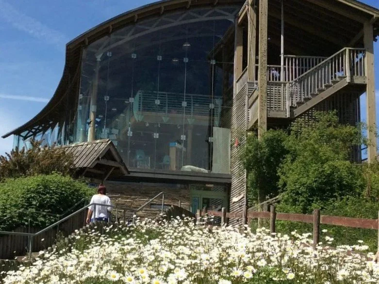 The Glasshouse Café - Welsh Wildlife Centre - Cilgerran