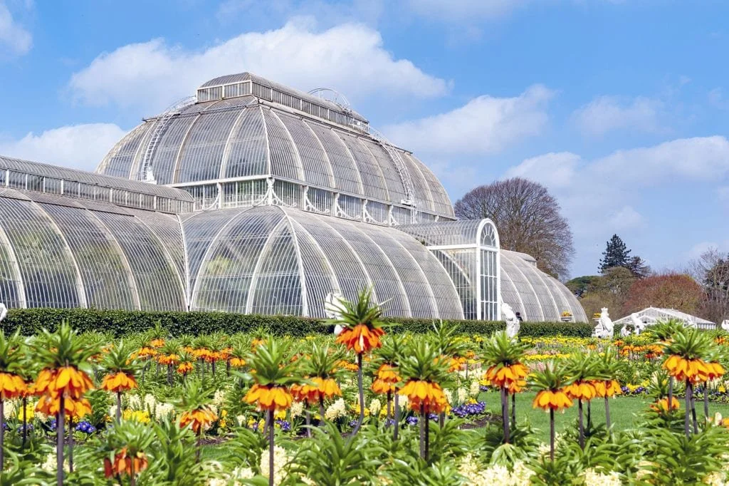 Talk “ Kew Gardens Revisited” by Penny Noble