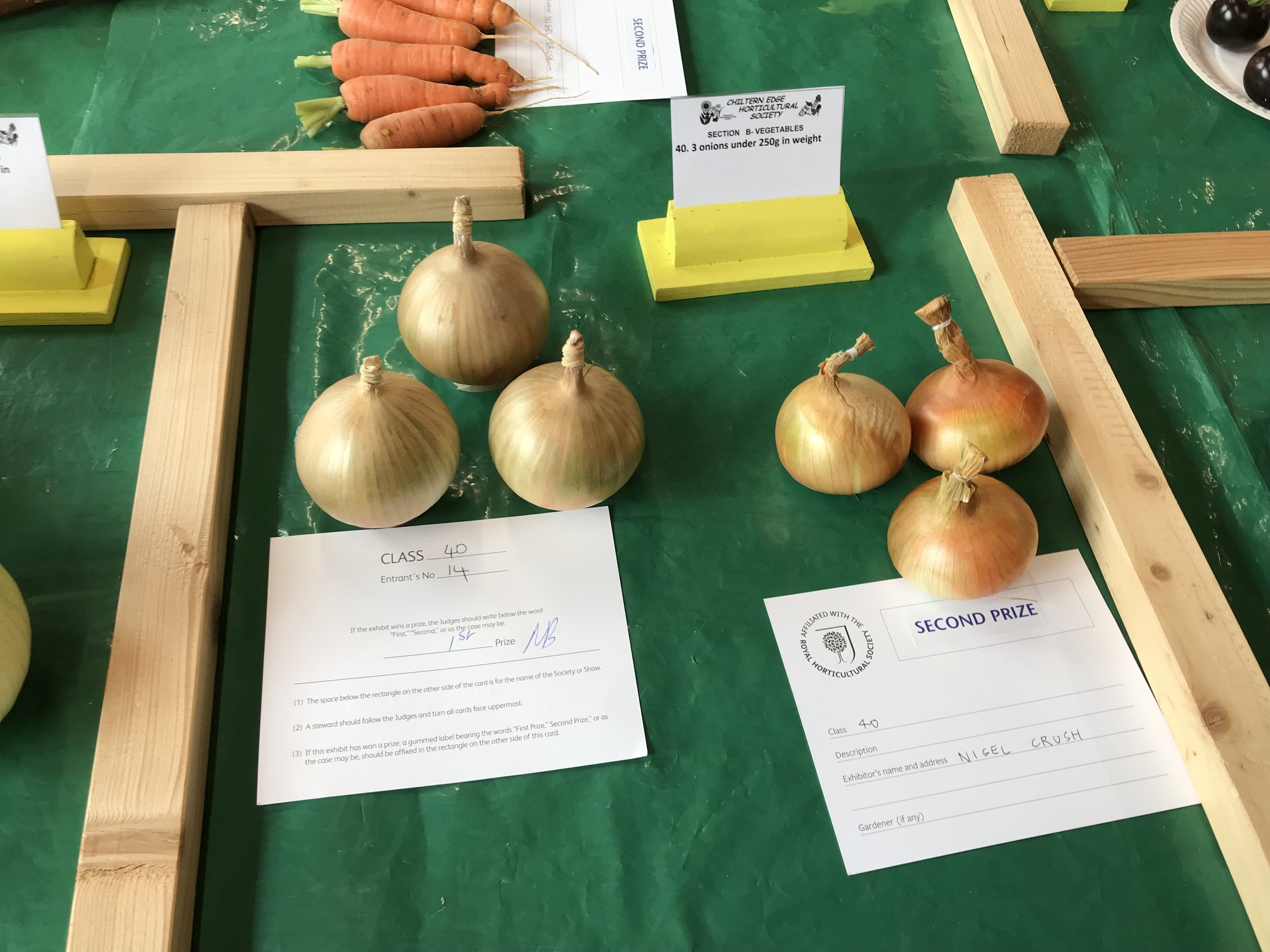 40 3 onions under 250 grams in weight.