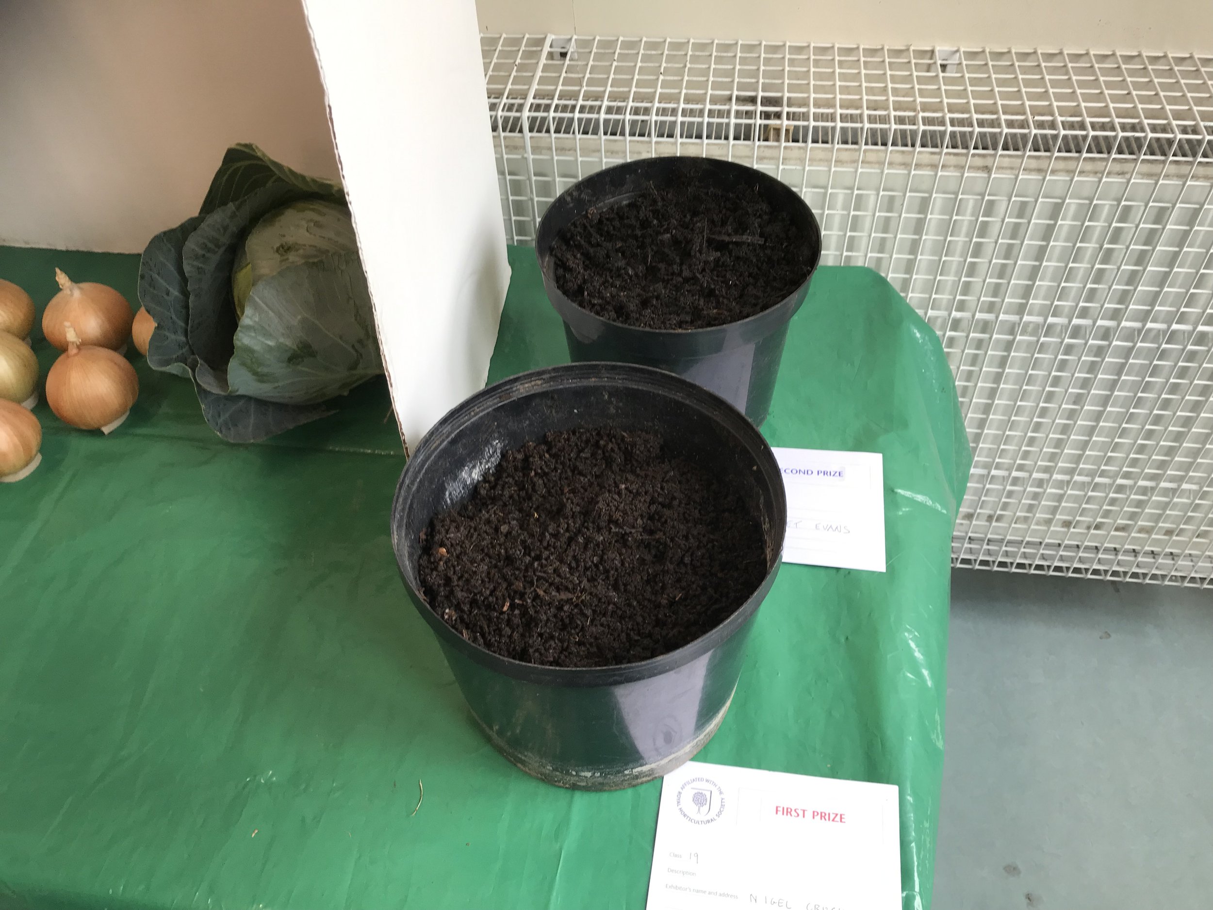 19.Home made compost in a 9” (23cm) container