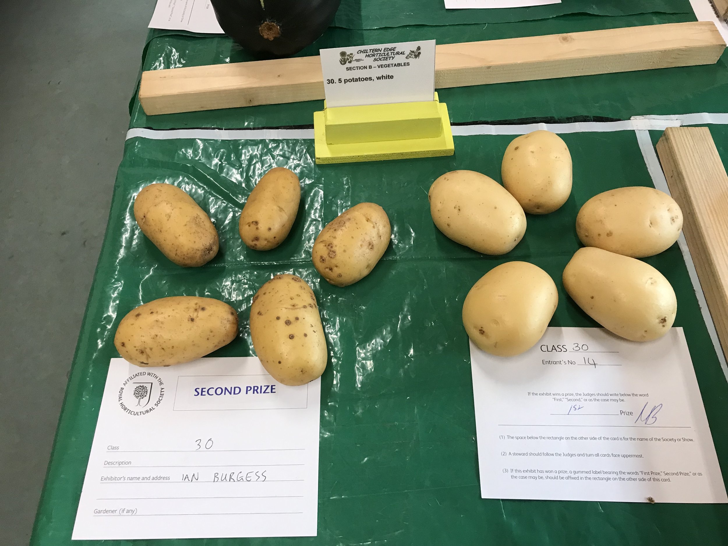 30 5 potatoes white